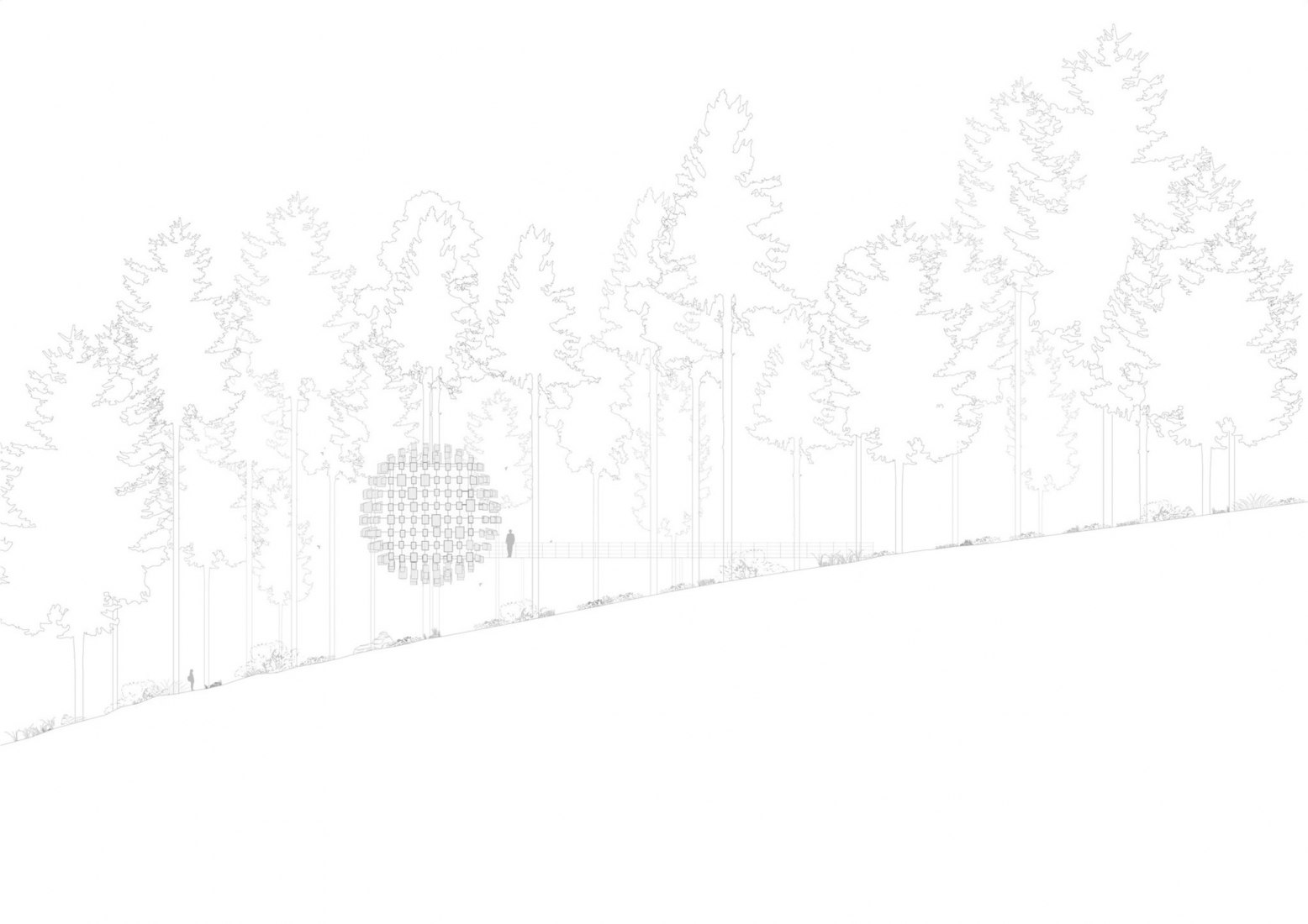 Section. Biosphere by BIG. Photograph by Mats Engfors.