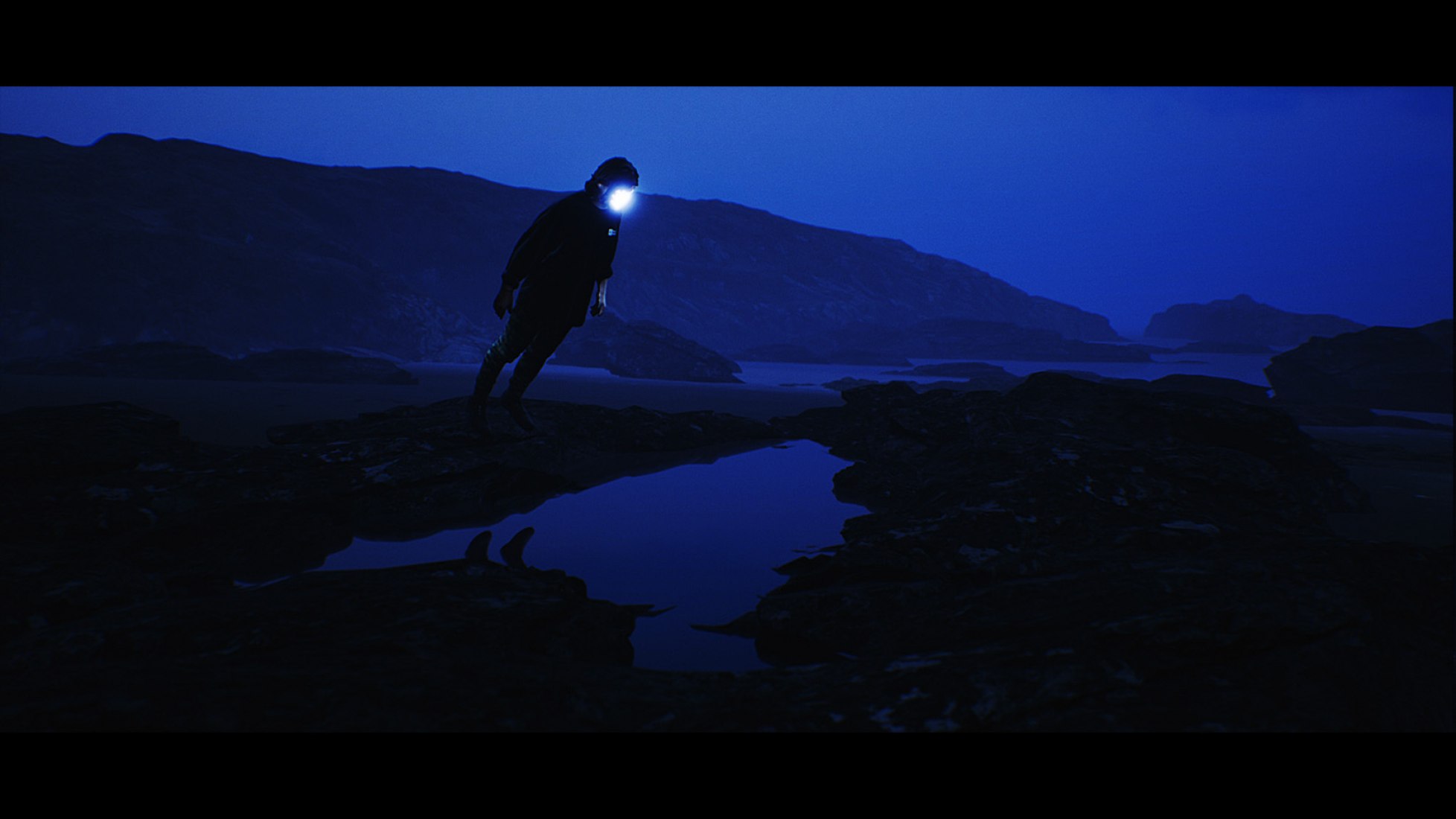 BlackMass_Experiment por LEViT∆TE
