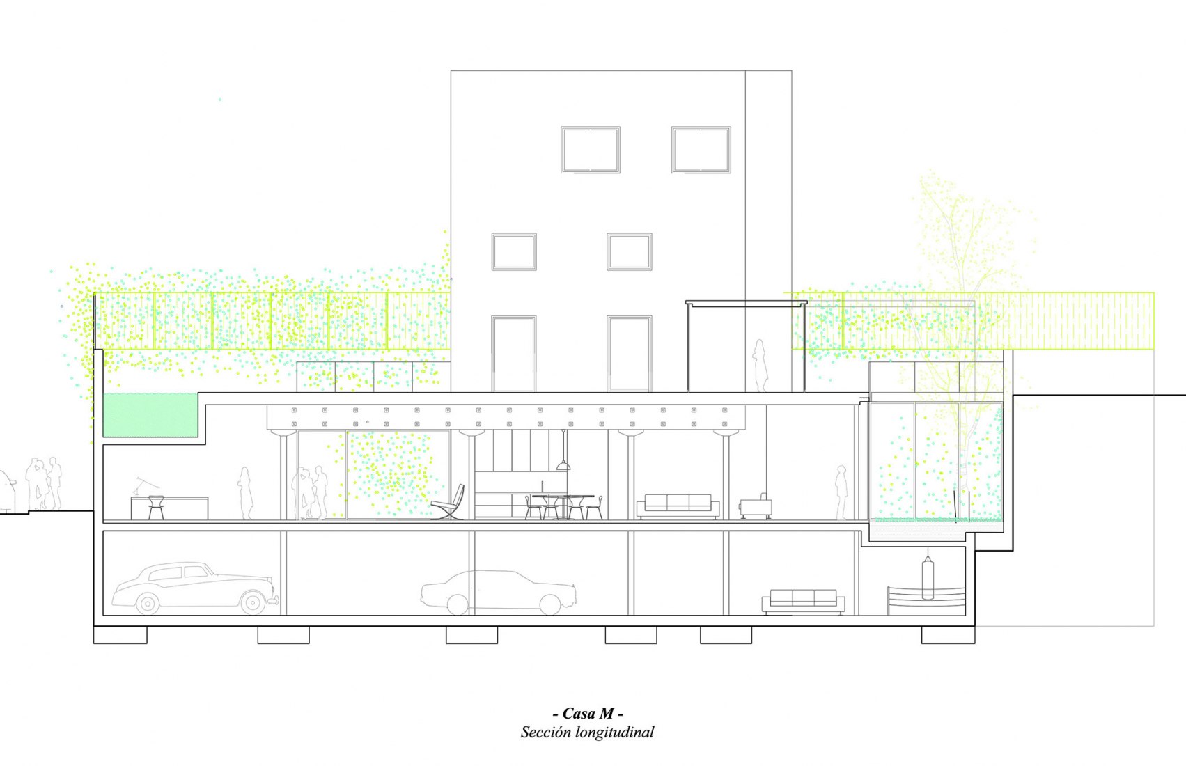 Longitudinal section. House M by Blanca Lleó