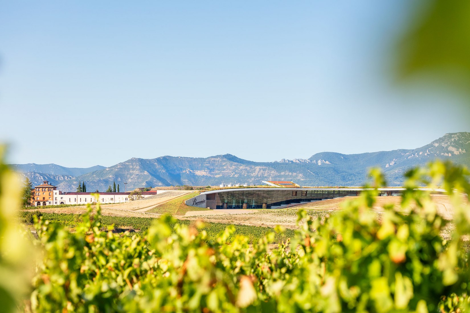 Bodega Beronia Rioja por Borja Gómez, Gonzalo Tello / IDOM. Fotografía por Gunnar Knechtel