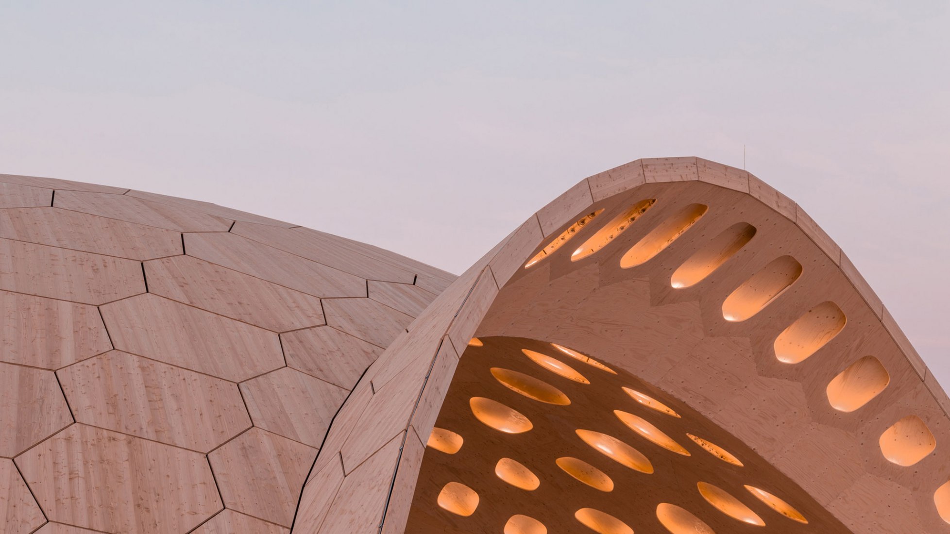 BUGA Wood Pavilion 2019 by ICD/ITKE, University of Stuttgart. Photograph by ICD/ITKE, University of Stuttgart.