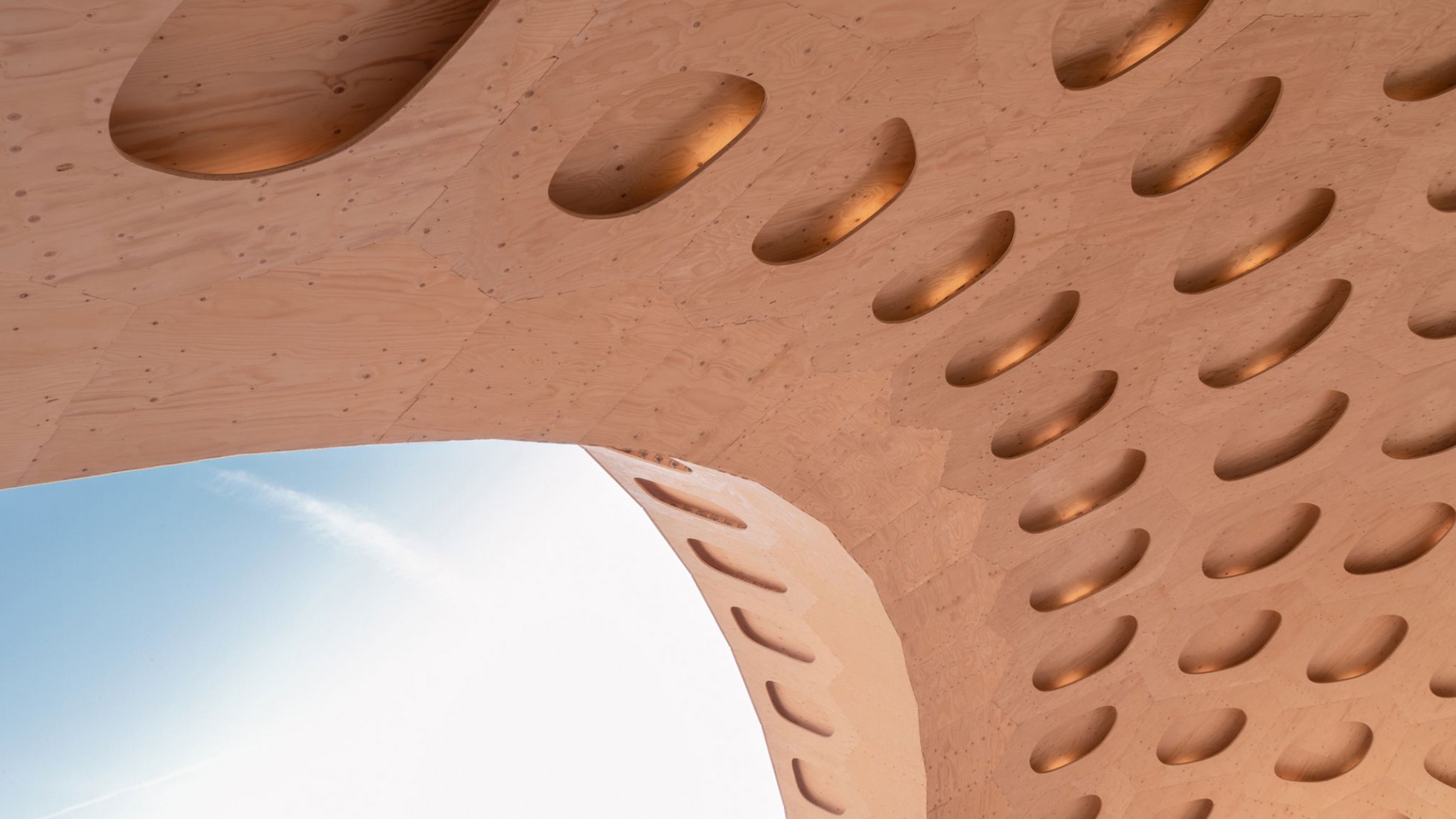 BUGA Wood Pavilion 2019 by ICD/ITKE, University of Stuttgart. Photograph by ICD/ITKE, University of Stuttgart.