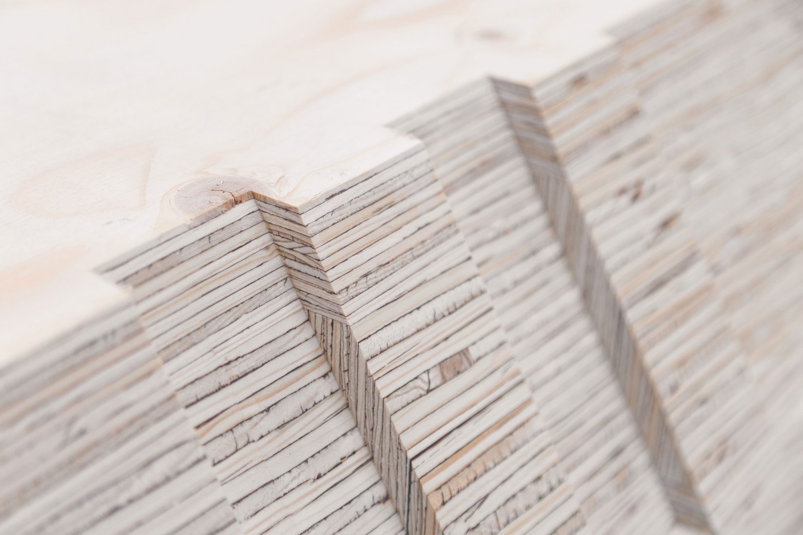 Development Process. BUGA Wood Pavilion 2019 by ICD/ITKE, University of Stuttgart. Images by ICD/ITKE, University of Stuttgart.
