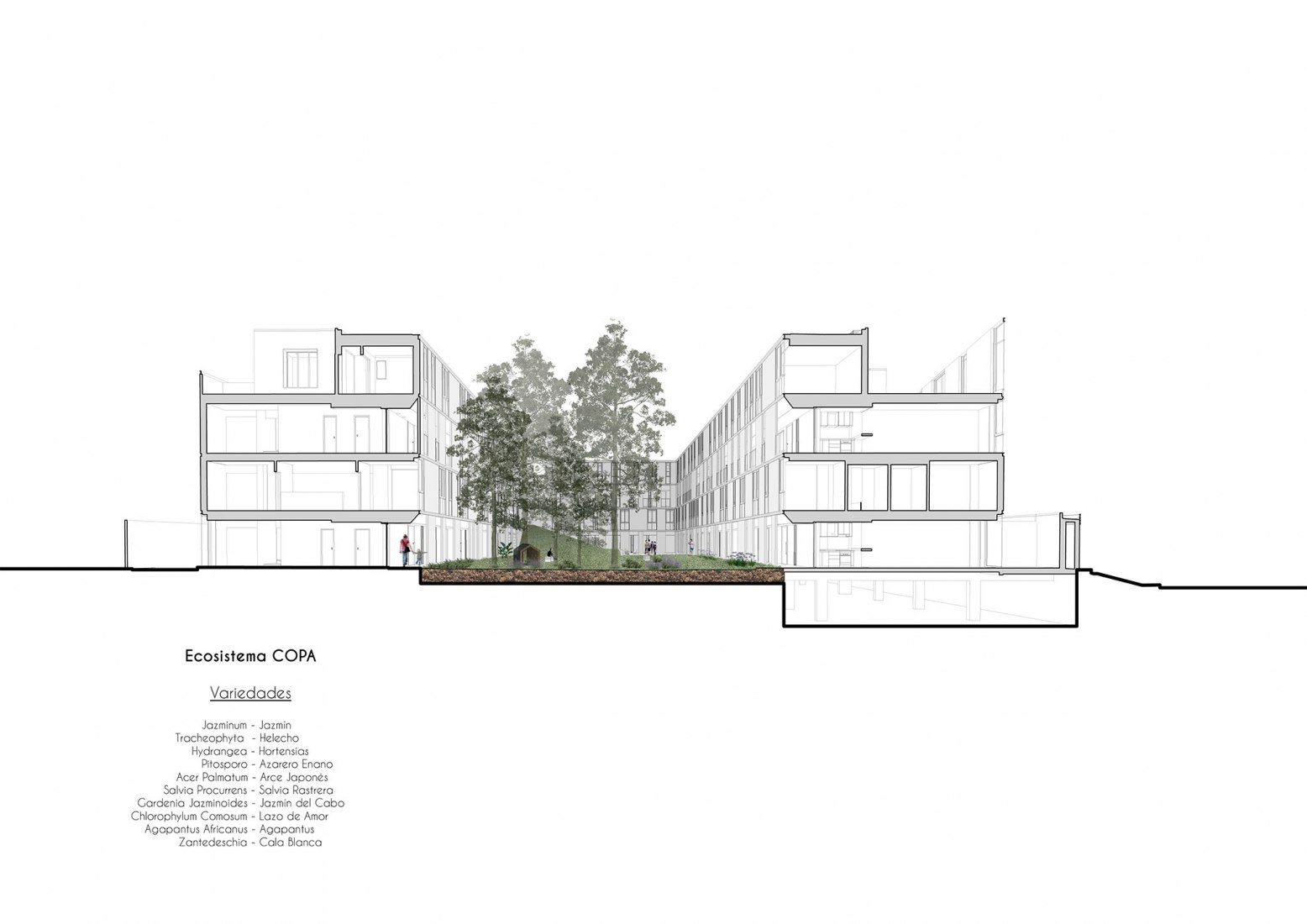 Plano sección transversal perspectiva. Edificio COPA por Ça Arquitectura