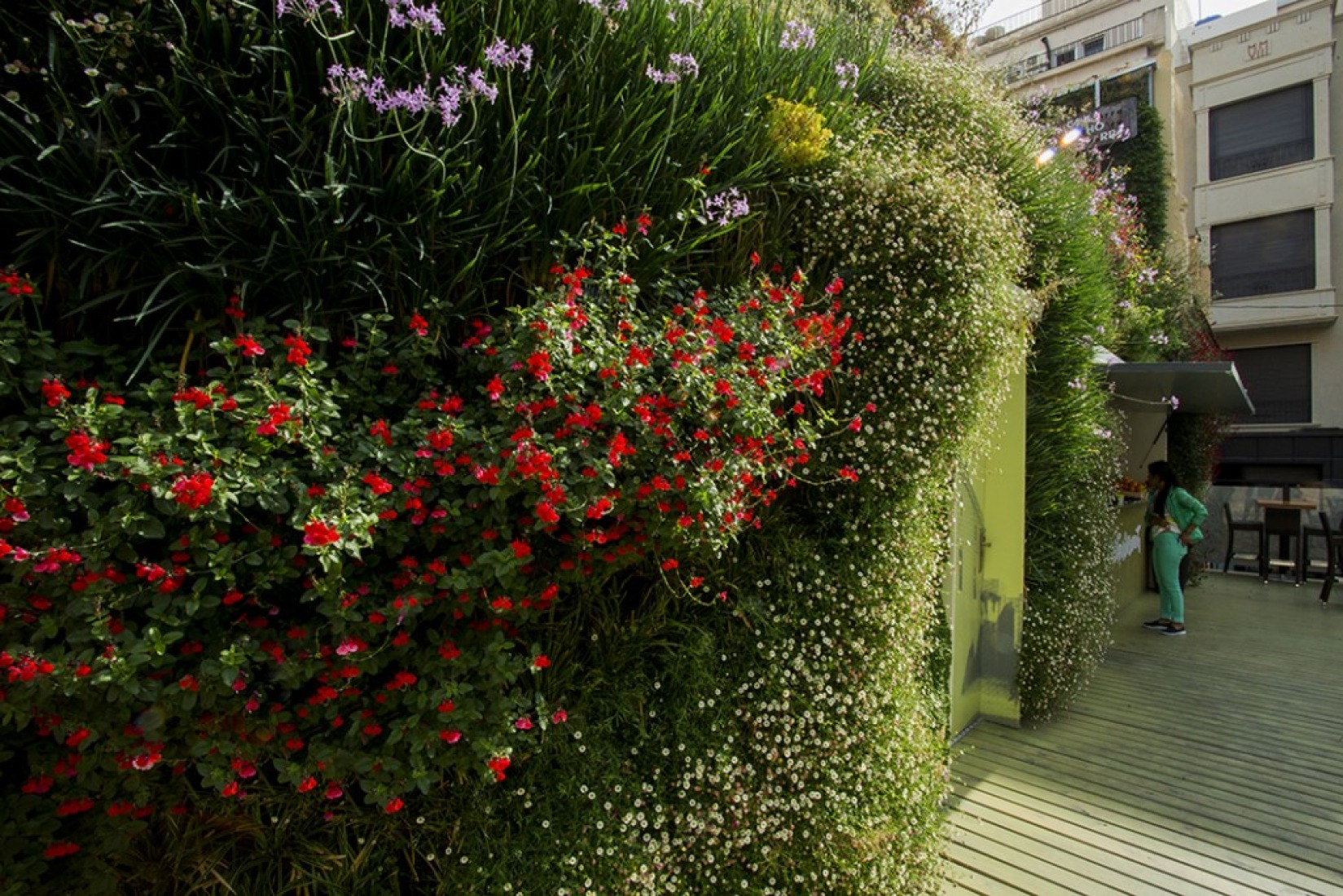 Detail. Cafeteria within a green wall by Antonio Maciá Mateu. Photography by David Frutos.