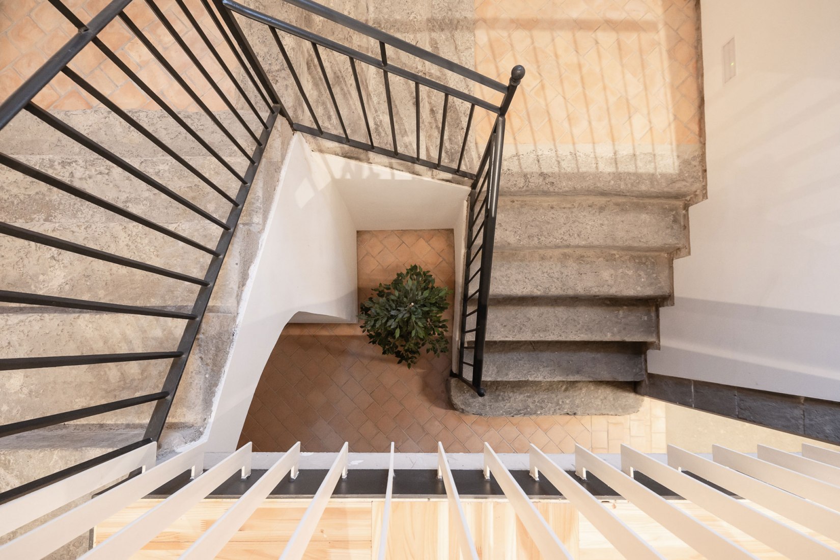 Edificio el Mallol por Carles Crosas y Gemma Domingo. Fotografía por Joan Guillamat
