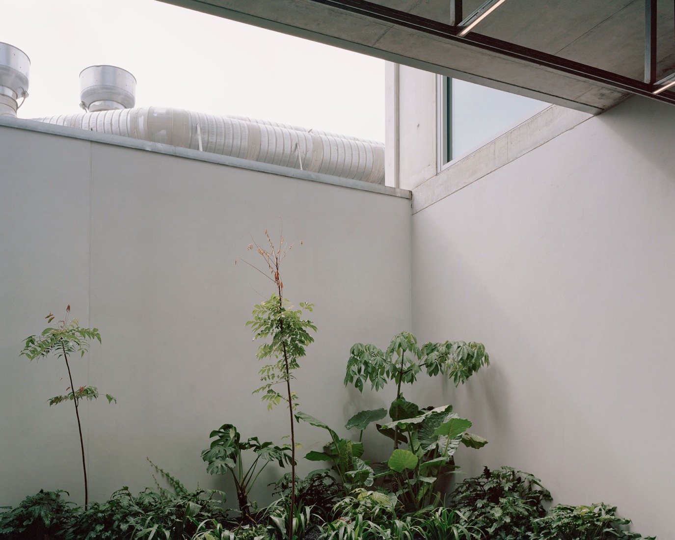 116 Rokeby por Carr. Fotografía por Rory Gardiner.