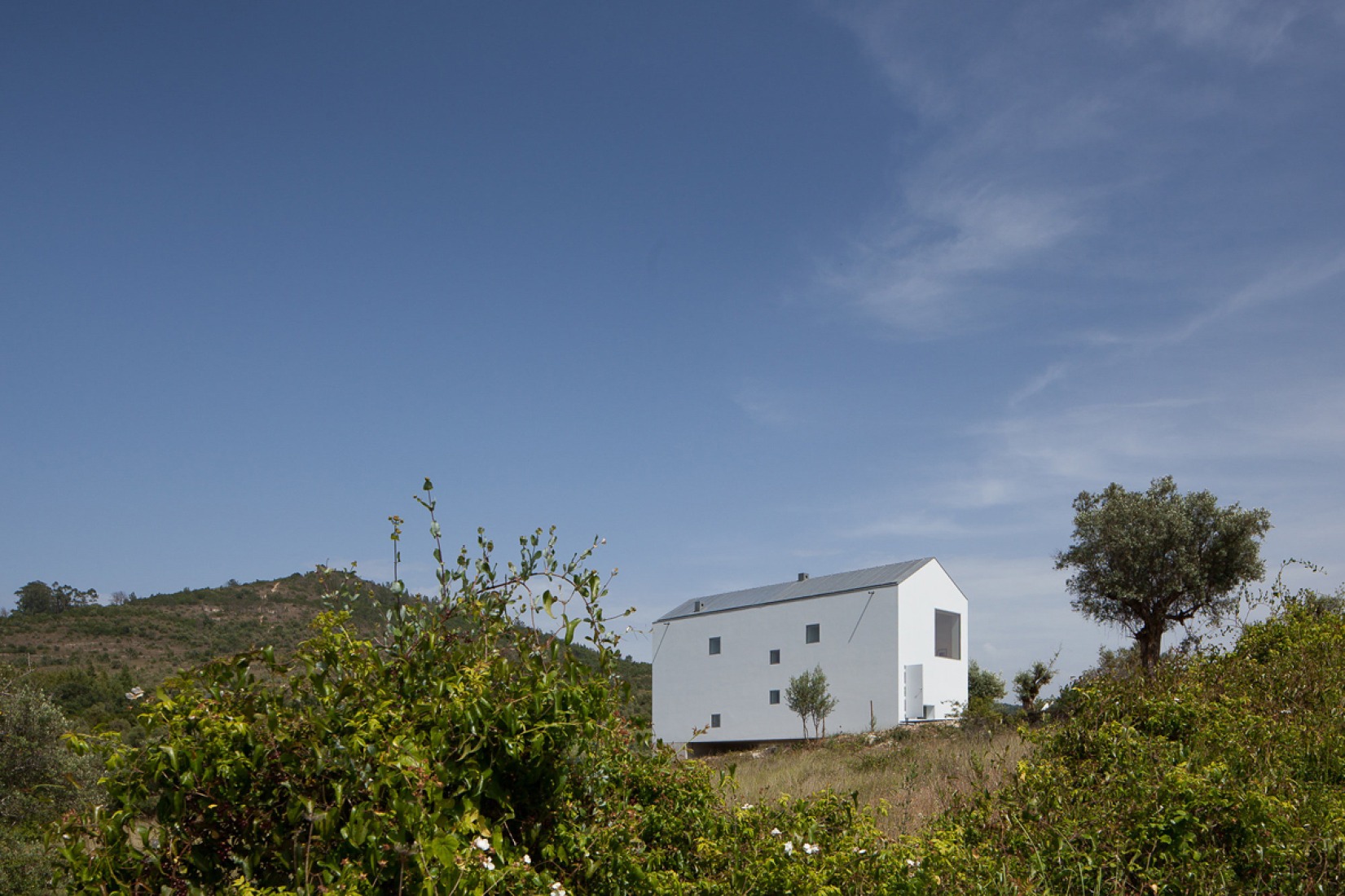 Integración con el entorno. Casa en Fonte Boa por João Mendes Ribeiro. Fotografía © José Campos.