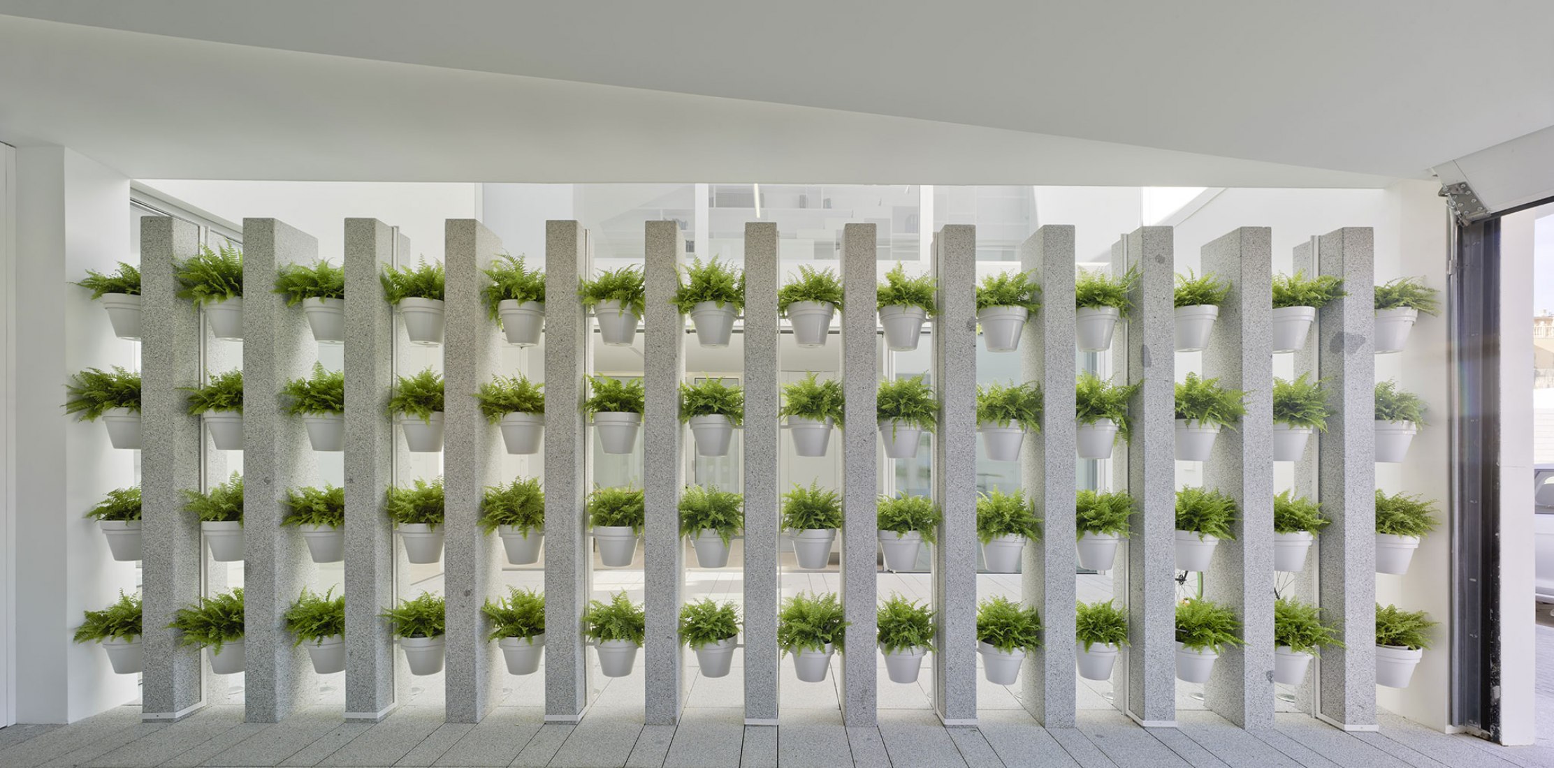 Courtyard view. Lopera House by David Ruiz Molina. Photograph © David Frutos