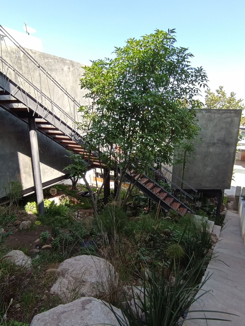 Casa Pedregal by Studio Patricia Meneses. Photograph by Rodrigo Calzada / Albers studio.