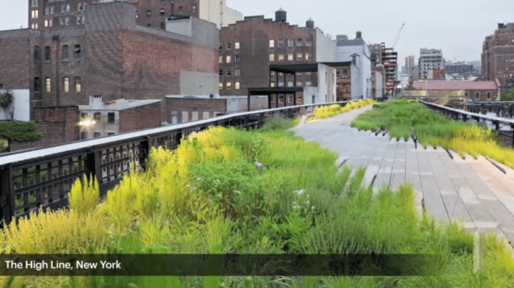 What Made Me | Charles Renfro, Architect.