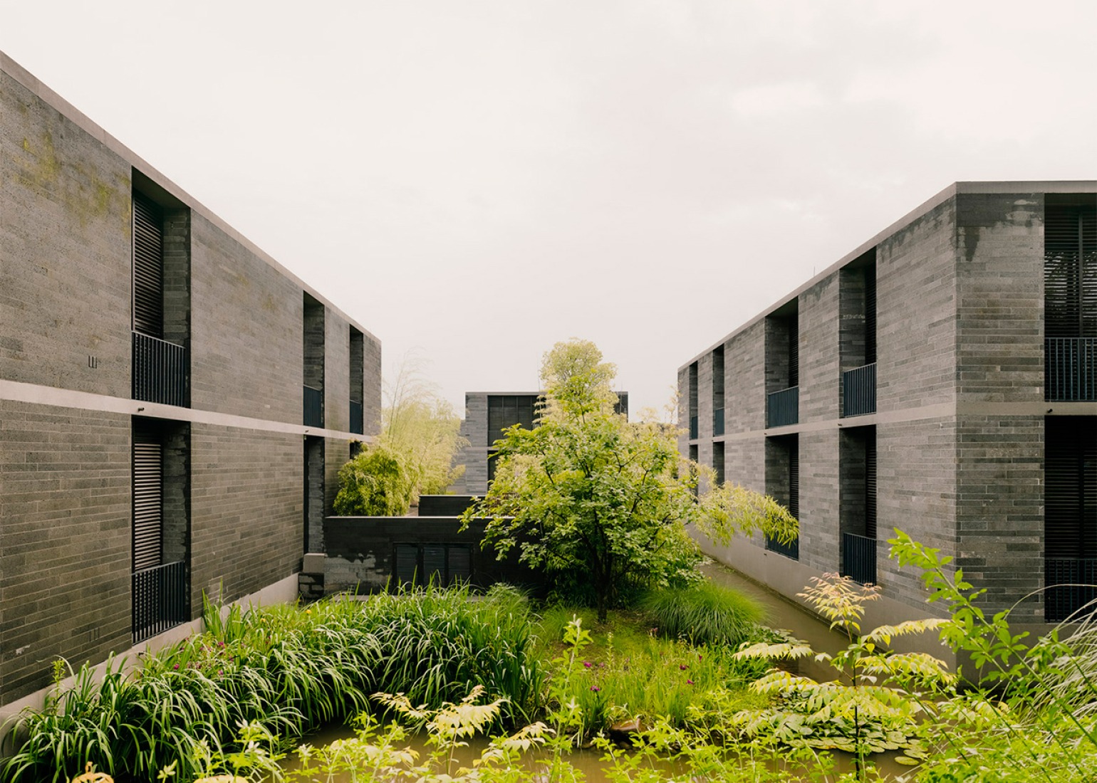 Exterior. Xixi Wetland Estate por David Chipperfield Architects. Fotografía © Simon Menges.
