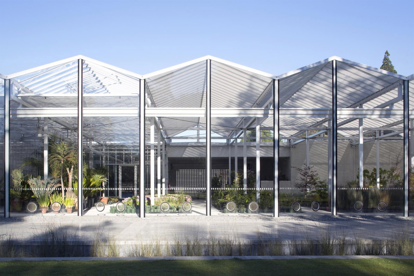 Christchurch Botanic Gardens Visitor's Centre by architects Patterson Associates. Photograph © Simon Devitt, Jeremy Toth