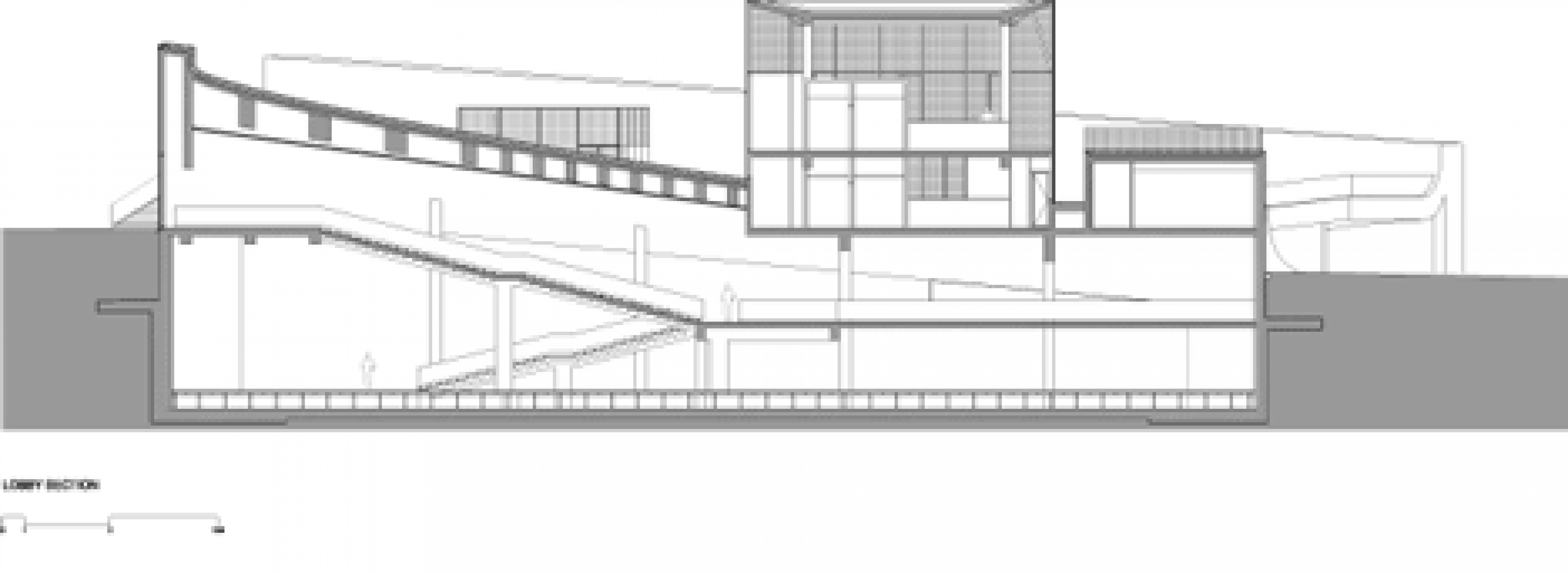 Section.