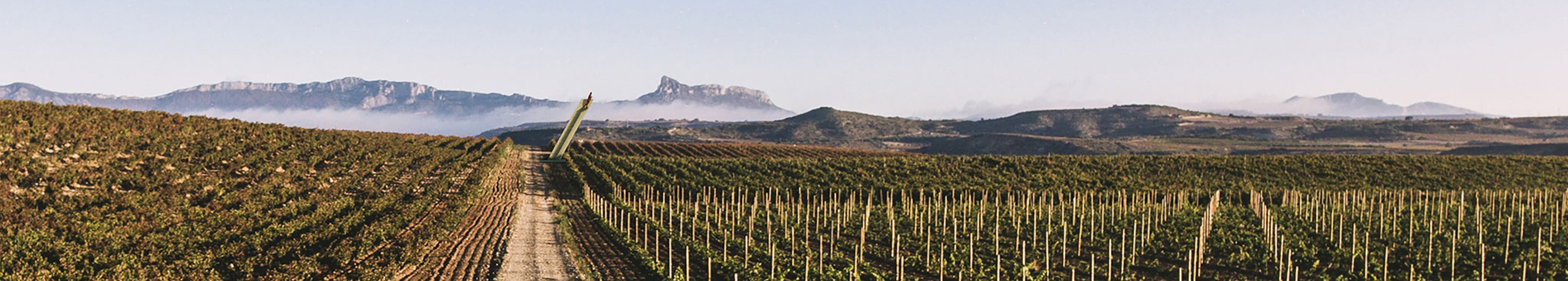 Stairway to heaven por Juan LLamazares Argüelles. Viña Lanciano Bodegas LAN. Ganadores de las convocatorias. Concéntrico 05. Fotografía cortesía de Concéntrico