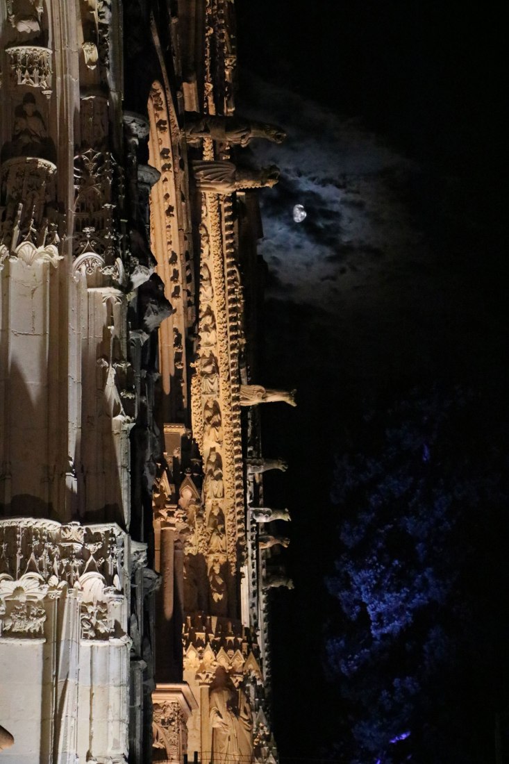 Category B, second price. Night of prizes in the 4th edition of the International Artificial Light Photography Contest (ICAL). Photography by Marina Vidal Vaquero (Rubí, Spain).