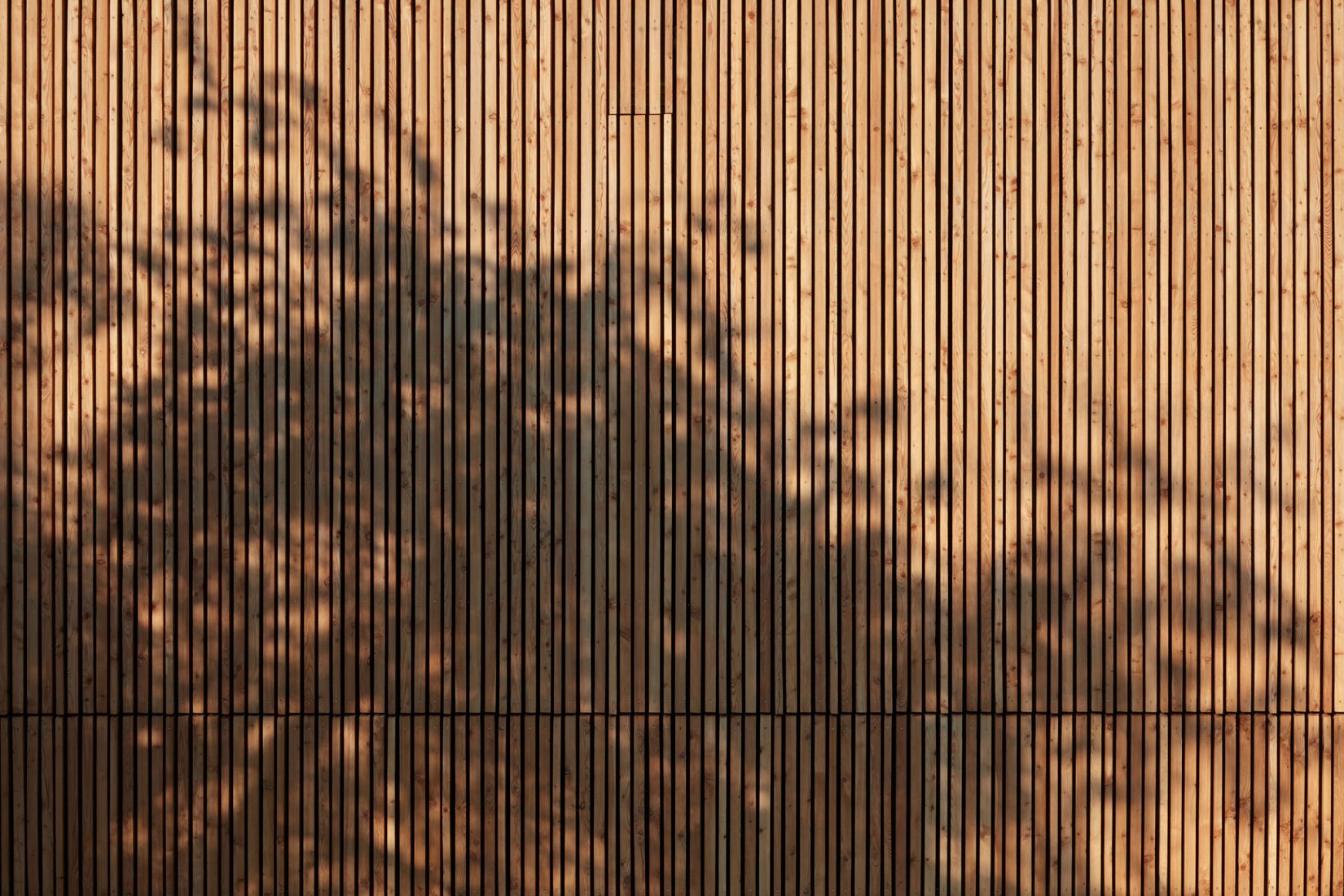 Nový Hrozenkov Primary School Sports Hall by Consequence forma architects. Photograph by BoysPlayNice.