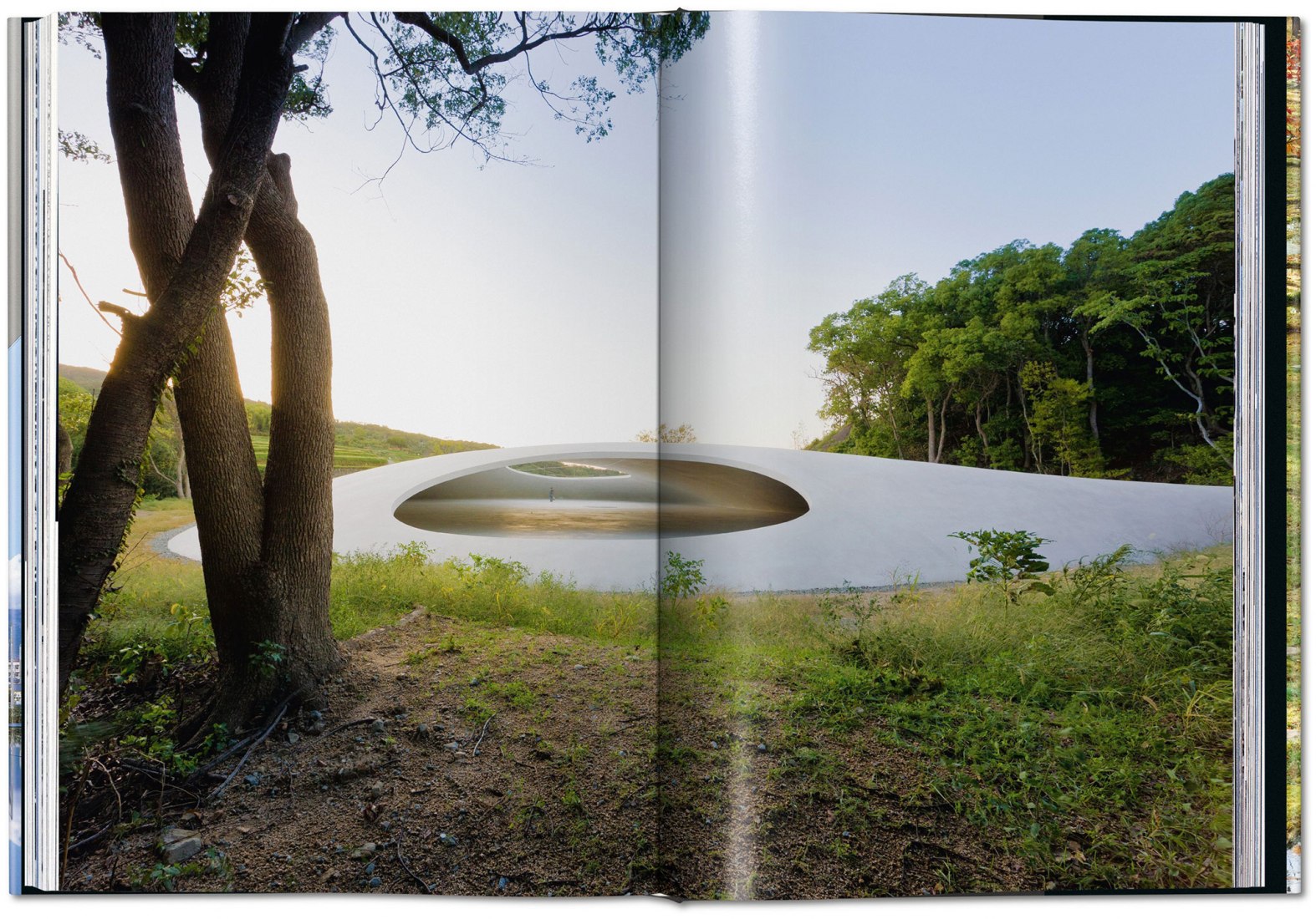 Interior pages. Contemporary Japanese Architecture by Philip Jodidio.