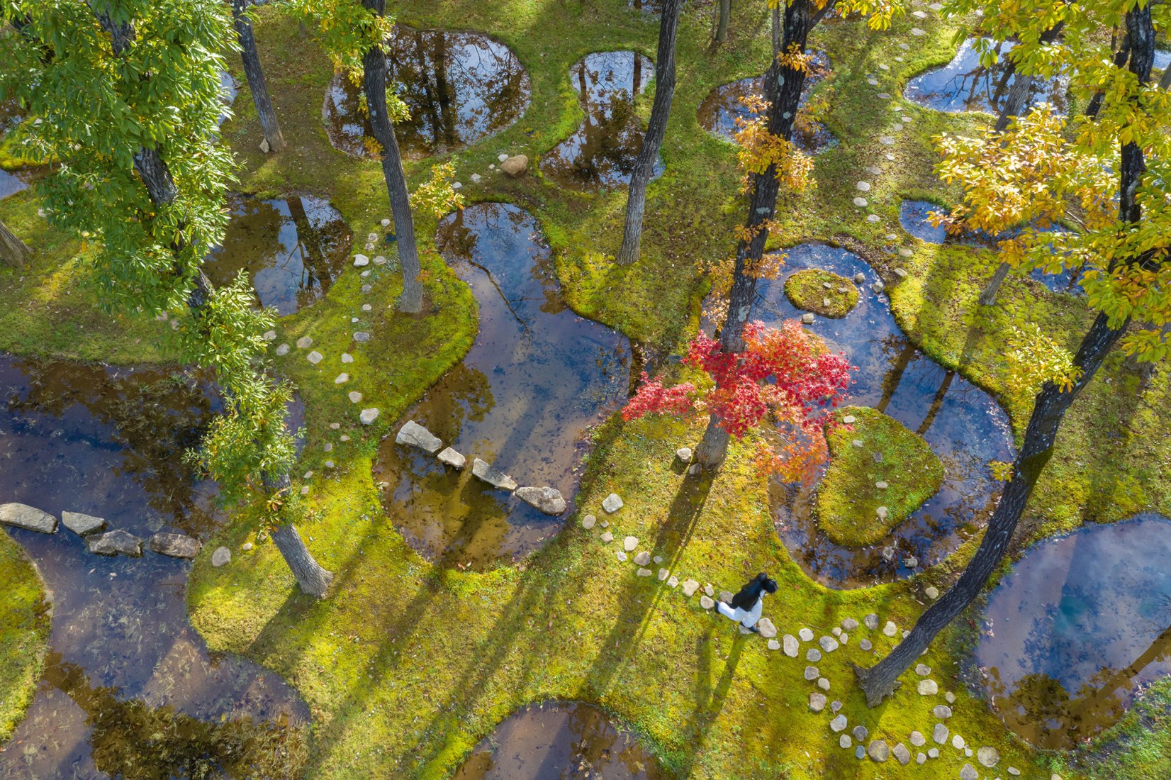 Junya Ishigami – Botanical Garden Art Biotop / Water Garden, Nasu, Tochigi, Japan, 2018. Contemporary Japanese Architecture by Philip Jodidio. Photograph by © Iwan Baan.