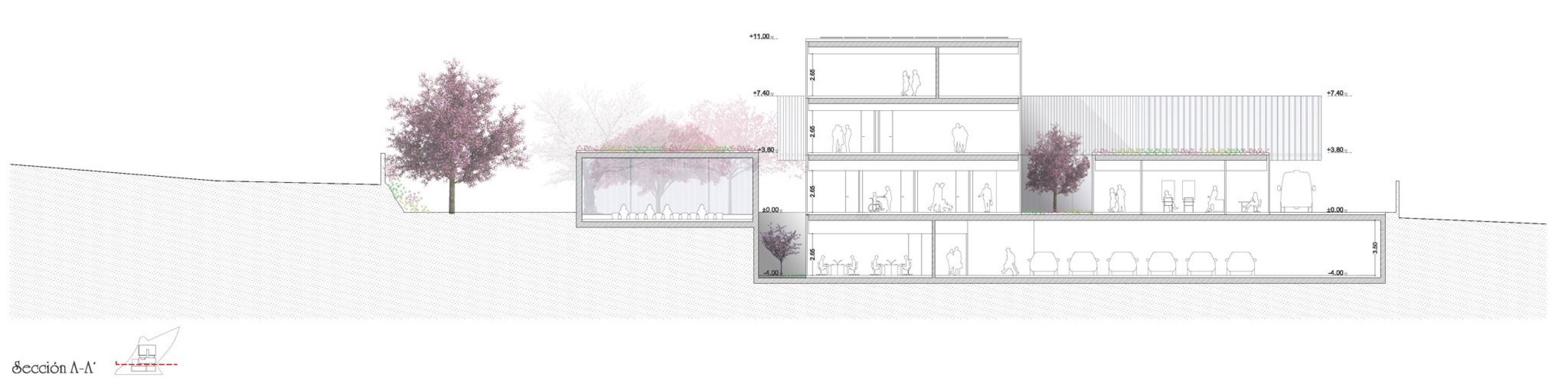 Sección A-A. Nueva cruz roja española en la ciudad de Ávila por ABLM Arquitectos. Imagen Cortesía de ABLM Arquitectos. 