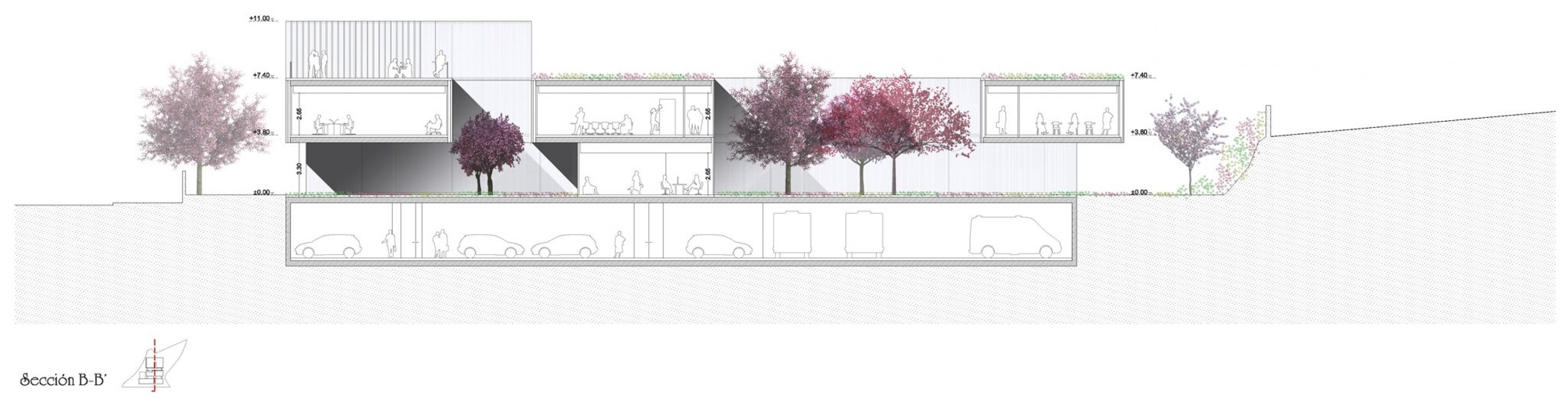 Sección B-B. Nueva cruz roja española en la ciudad de Ávila por ABLM Arquitectos. Imagen Cortesía de ABLM Arquitectos. 