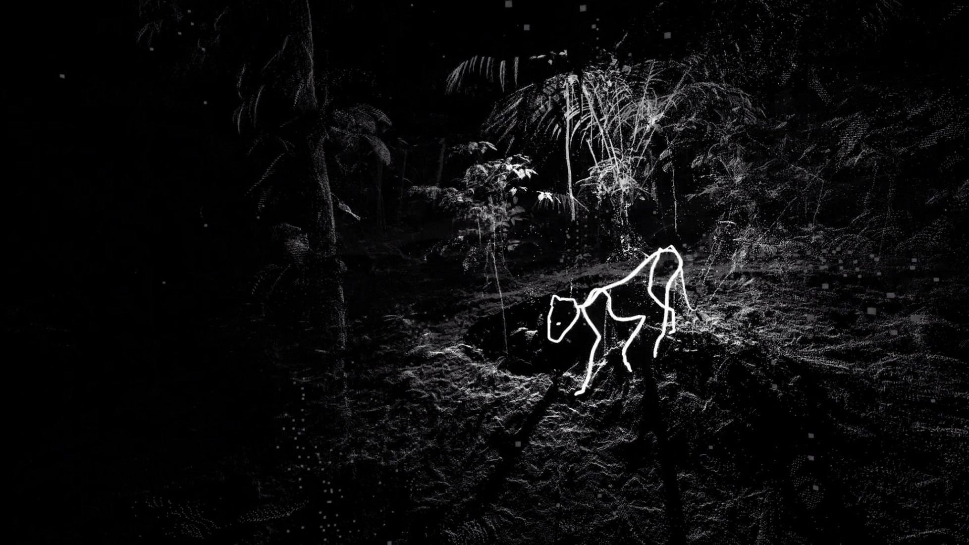 Daniel Steegmann Mangrané, «A Dream Dreaming a Dream», 2020. Proyección de video (animación procesada generada por ordenador en tiempo real, en blanco y negro), sonido de 4 canales. Fotografía por Roberto Ruiz.
