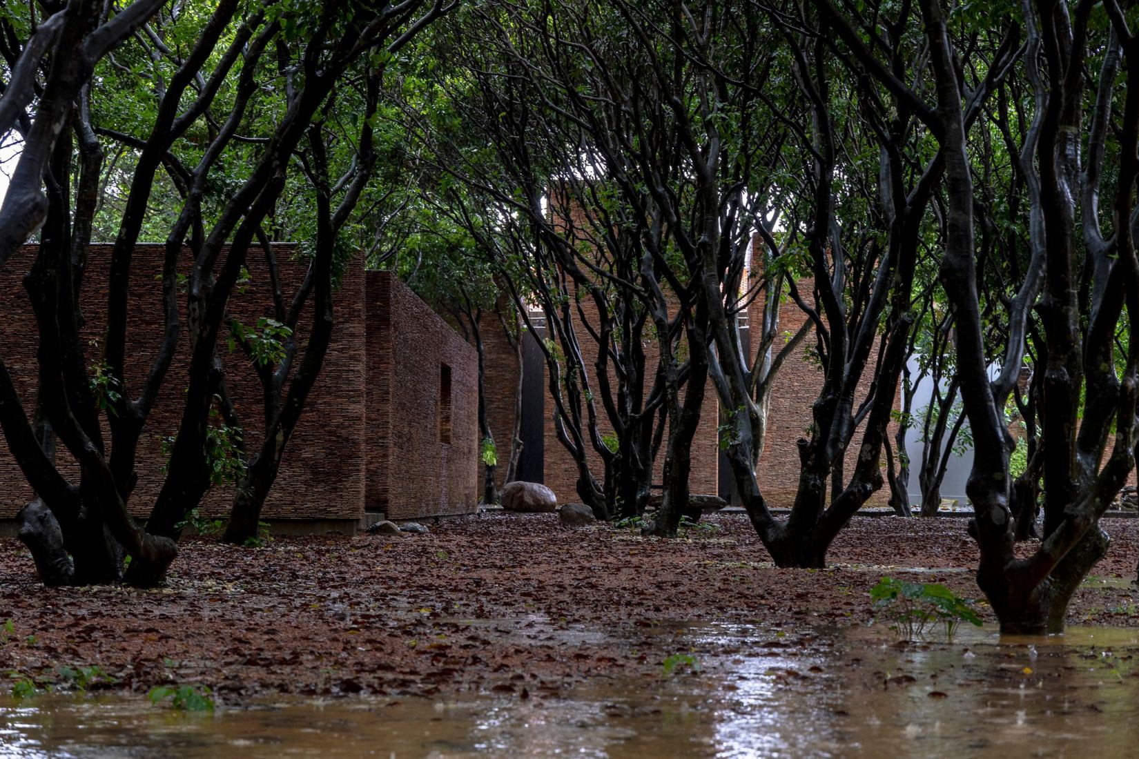 Đạo Mẫu Museum by ARB Architects. Photograph by Trieu Chien.