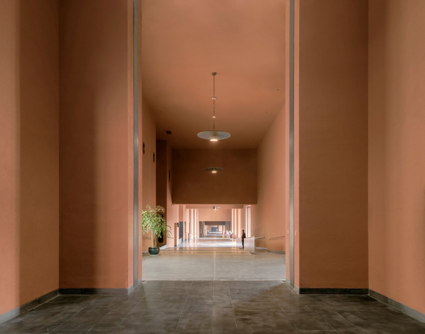 Zhejiang Museum of Natural History by David Chipperfield Architects. Photograph by Simon Menges