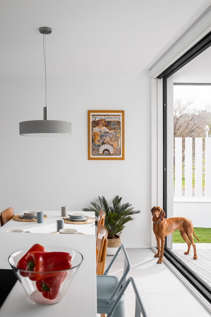 Casa Madreselva por David Olmos Arquitectos. Fotografía por Ivo Tavares Studio