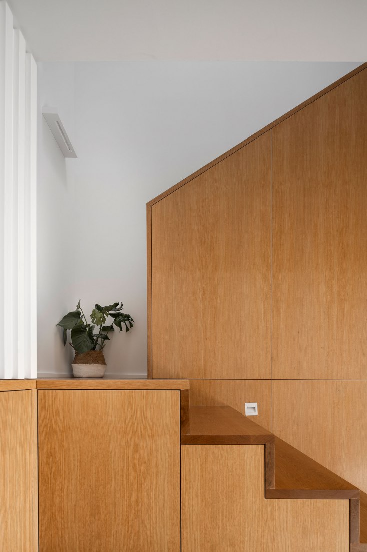 Casa Madreselva por David Olmos Arquitectos. Fotografía por Ivo Tavares Studio