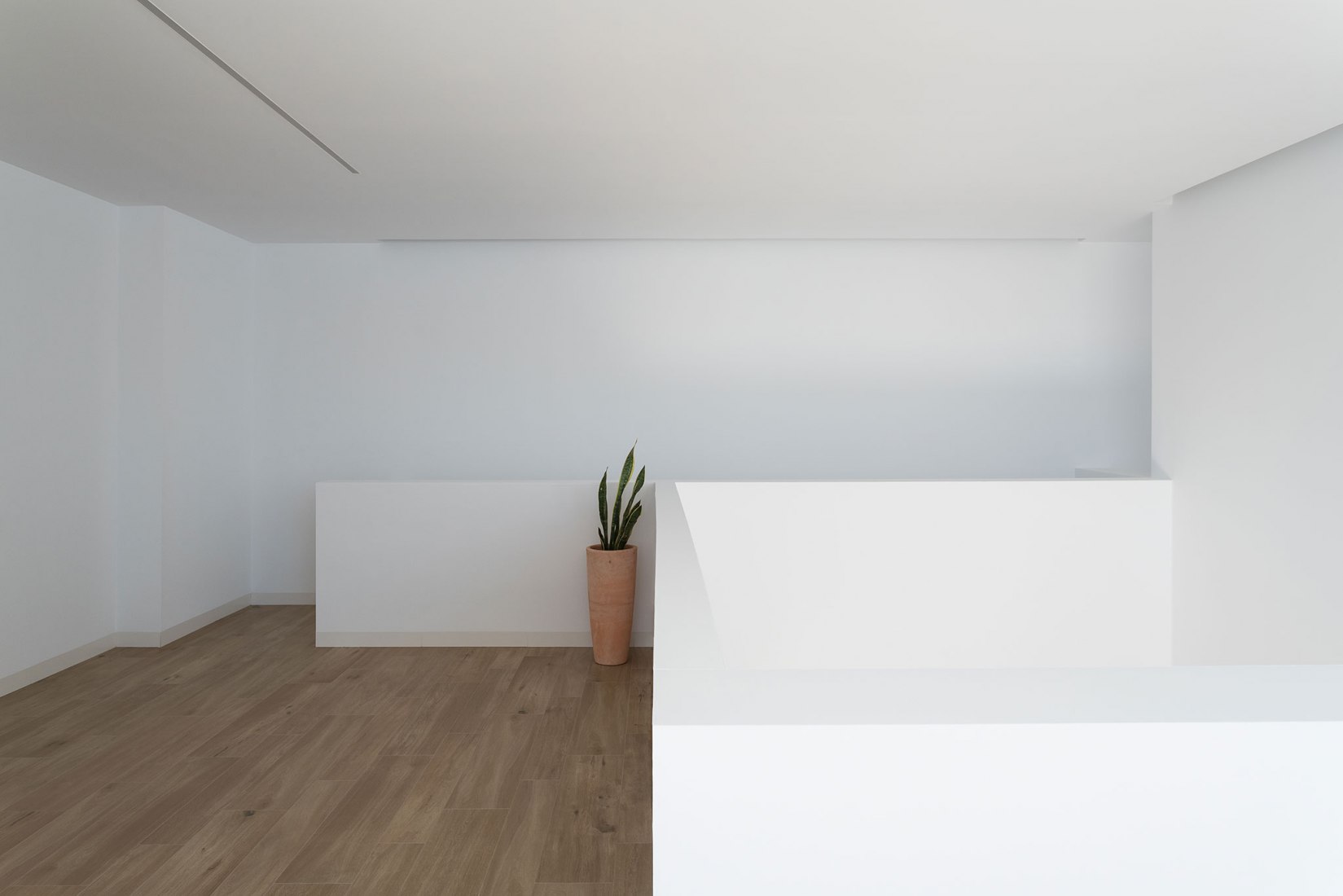 Chip and chop house by David Ruiz Molina. Photograph by Manolo Espaliú.