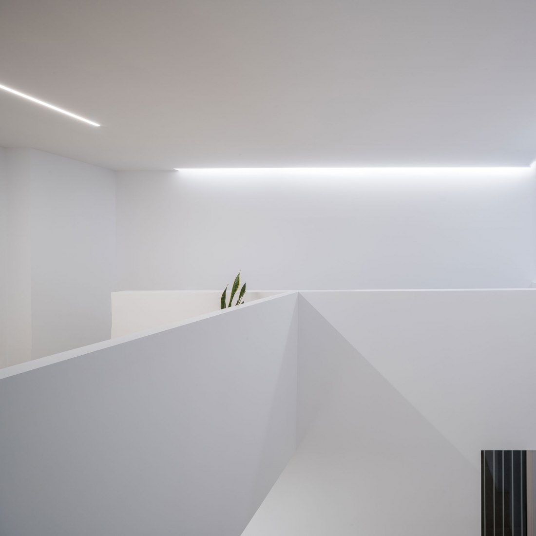 Chip and chop house by David Ruiz Molina. Photograph by Manolo Espaliú.