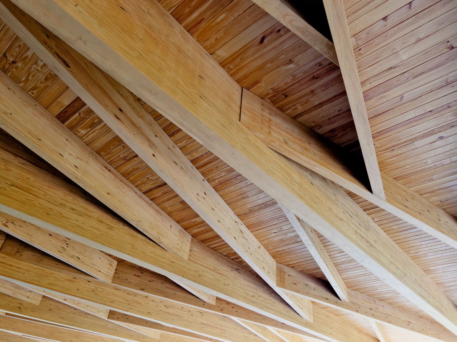 Locust Grove Event Pavilion by de Leon & Primmer Architecture Workshop. Image courtesy de Leon & Primmer Architecture Workshop.