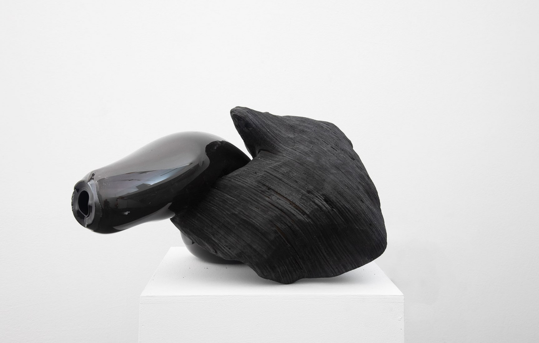 Clostridium by Dia Muñoz. Photograph courtesy of Galería Ponce+Robles