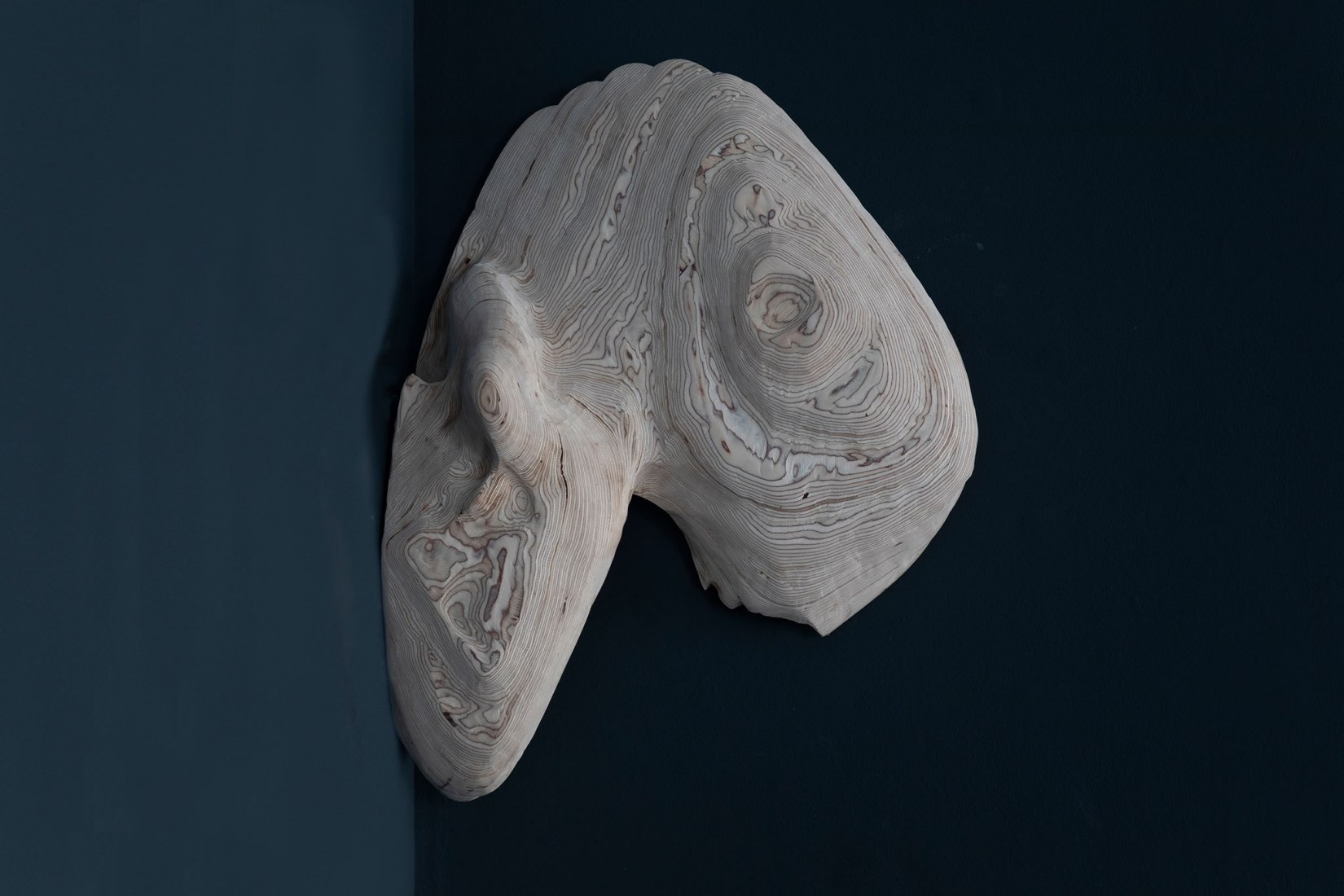 Gut Fragment by Dia Muñoz. Photograph courtesy of Galería Ponce+Robles