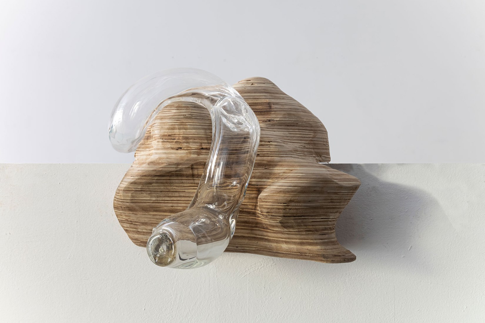 Micro ecology by Dia Muñoz. Photograph courtesy of Galería Ponce+Robles
