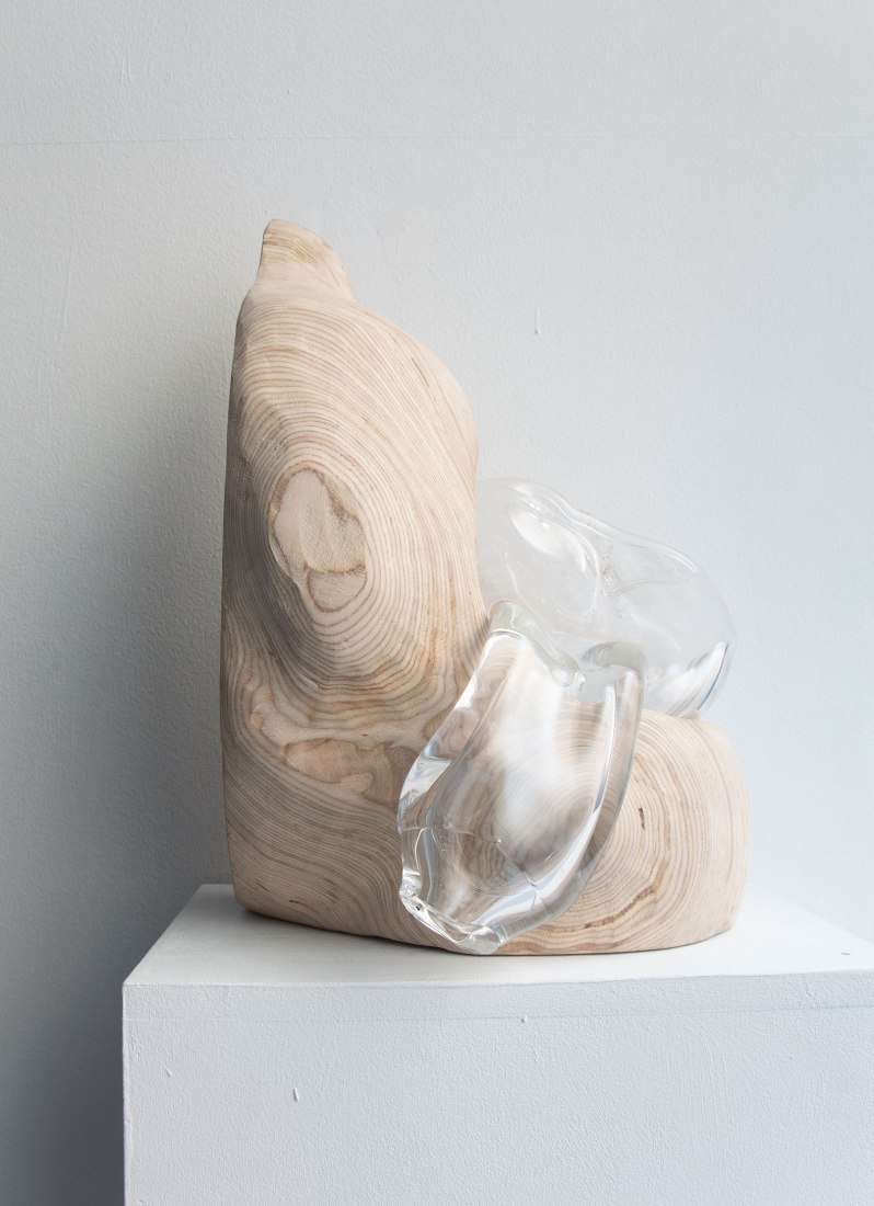 Microflora by Dia Muñoz. Photograph courtesy of Galería Ponce+Robles