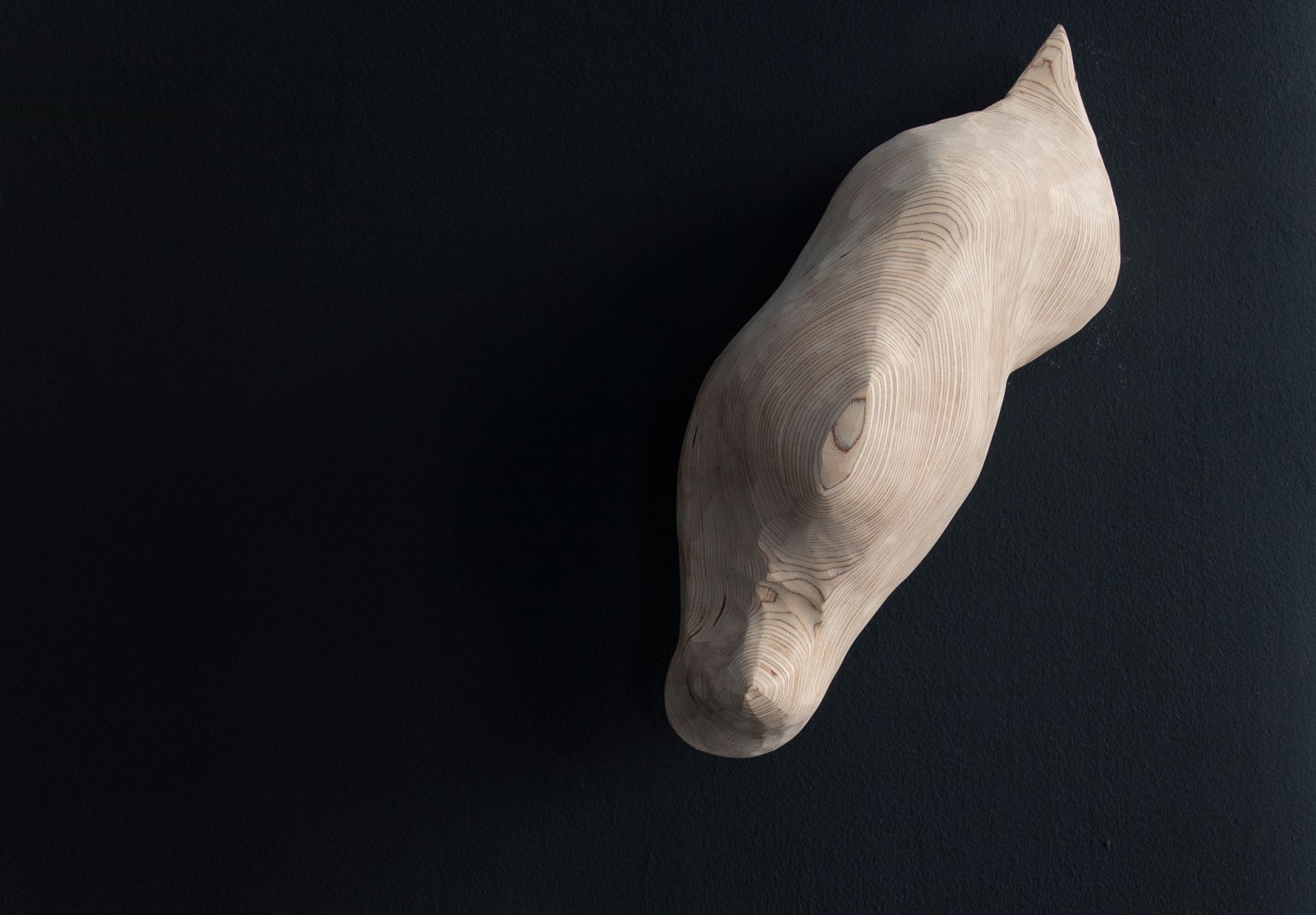 Well by Dia Muñoz. Photograph courtesy of Galería Ponce+Robles