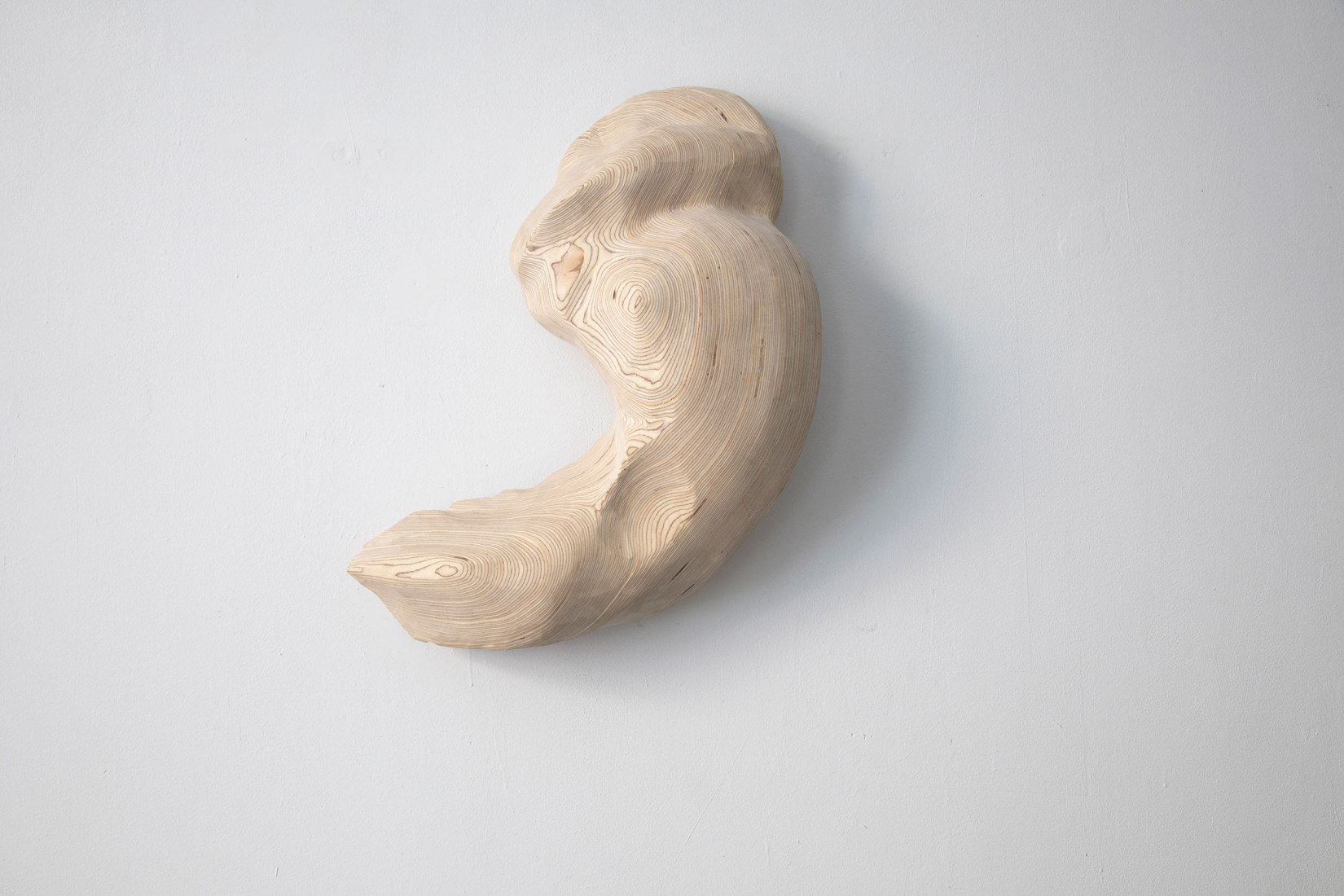 Gut Fragment by Dia Muñoz. Photograph courtesy of Galería Ponce+Robles