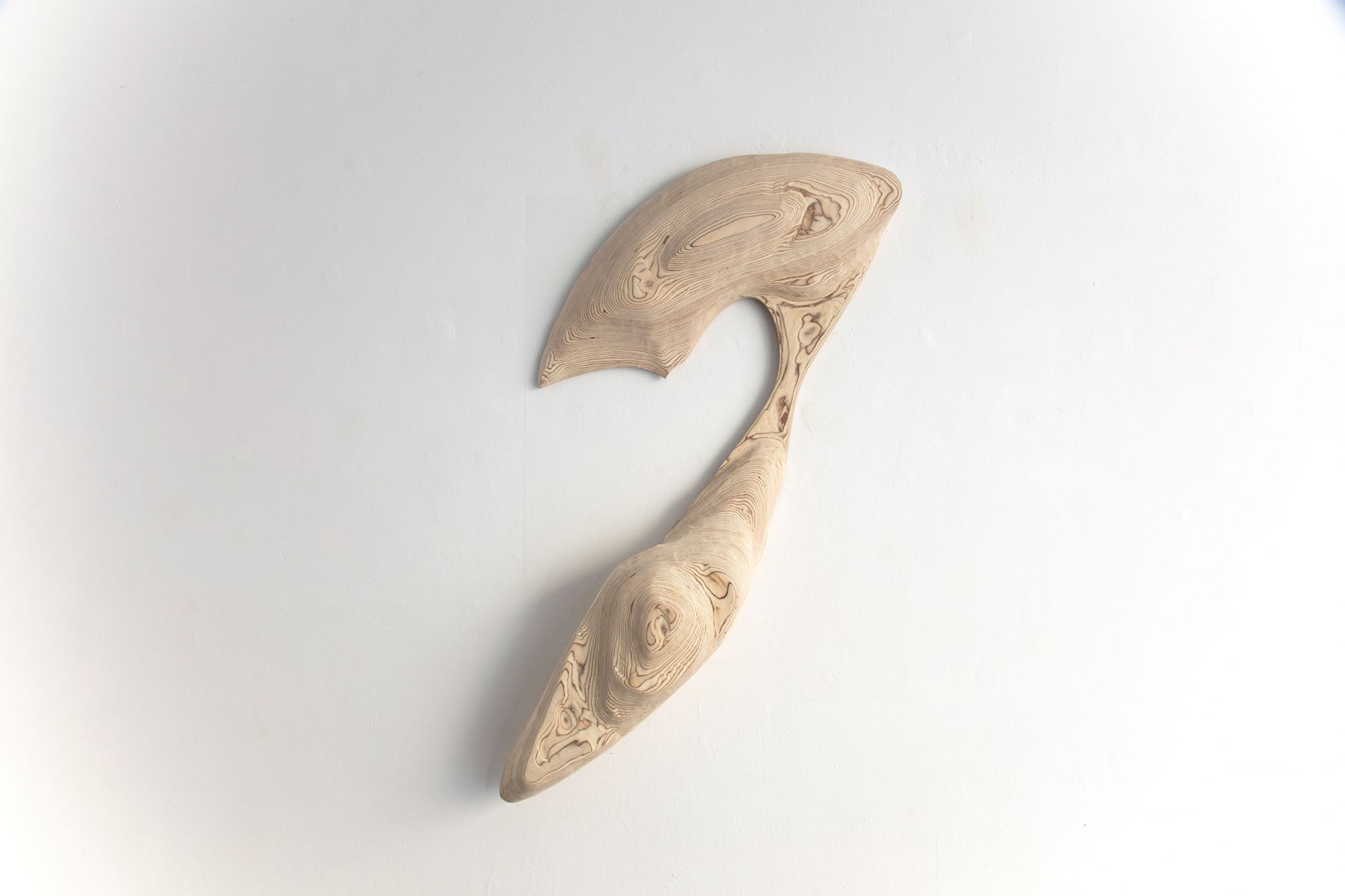 Gut fragment by Dia Muñoz. Photograph courtesy of Galería Ponce+Robles