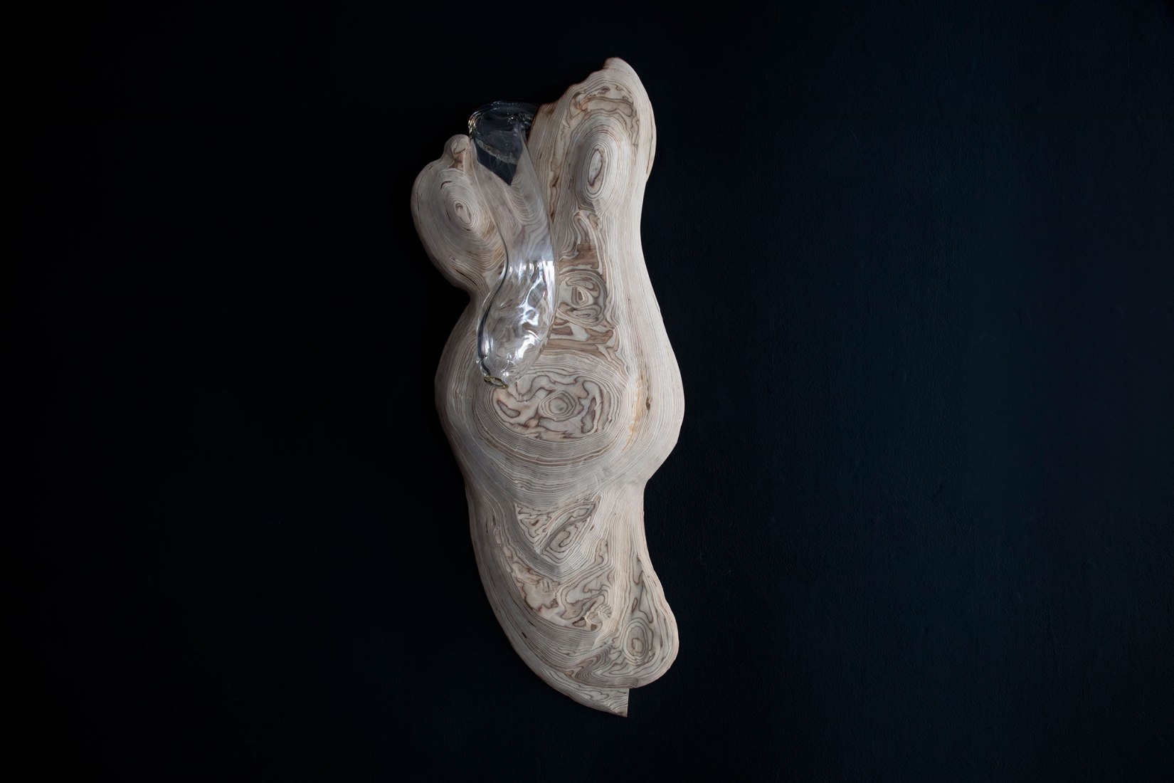 Holobiont by Dia Muñoz. Photograph courtesy of Galería Ponce+Robles