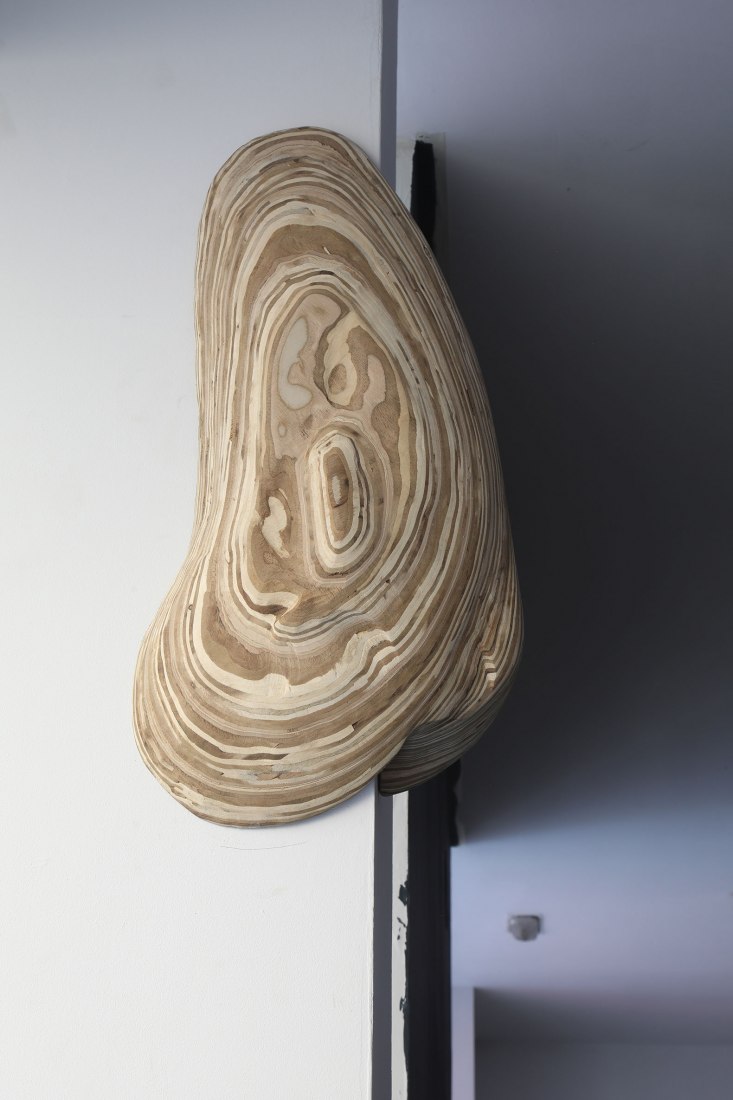 In the road of sickness by Dia Muñoz. Photograph courtesy of Galería Ponce+Robles