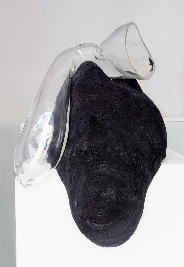 Homeostatic by Dia Muñoz. Photograph courtesy of Galería Ponce+Robles