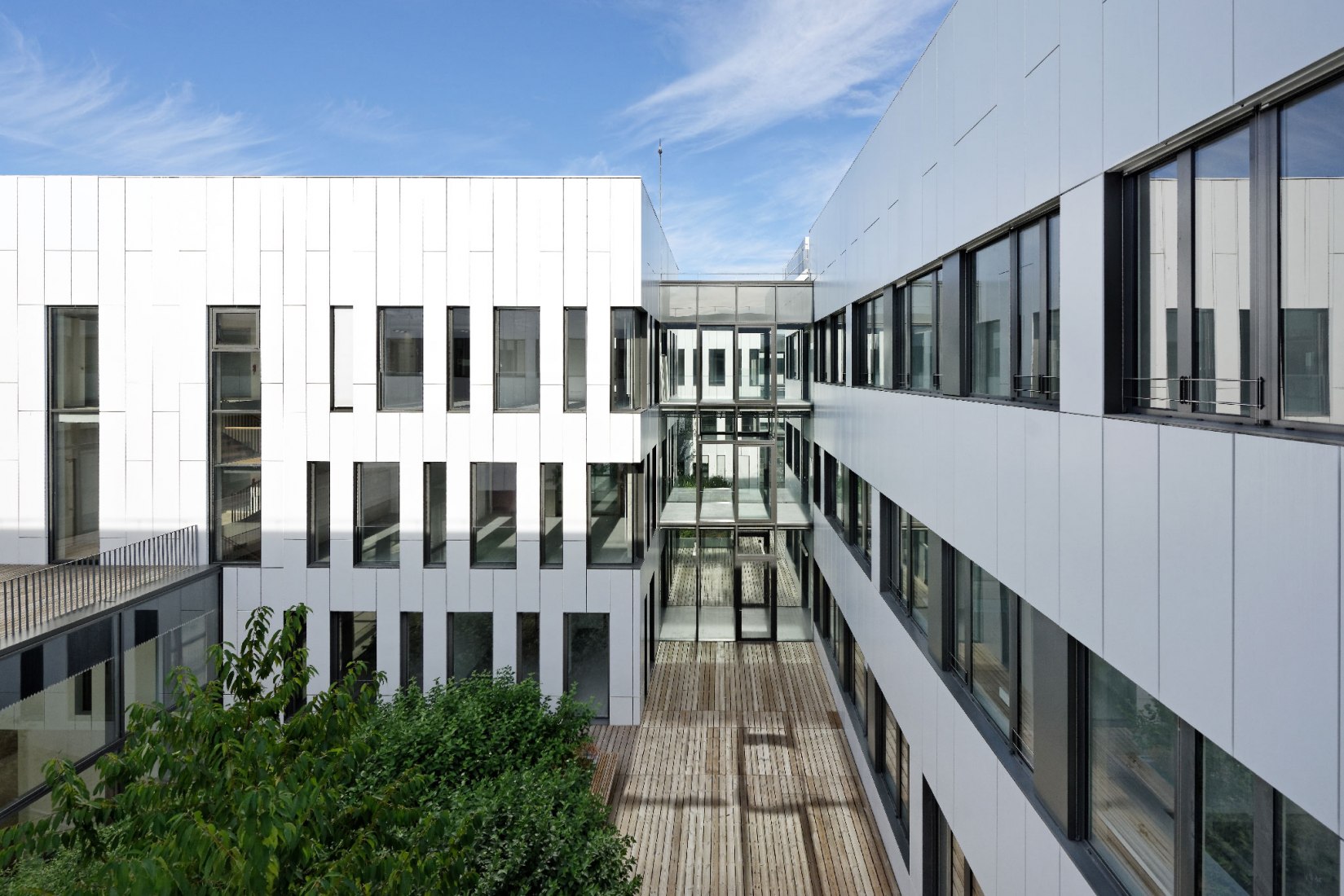 Entre yardas. Instituto de Neurociencia por Dietmar Feichtinger Architectes