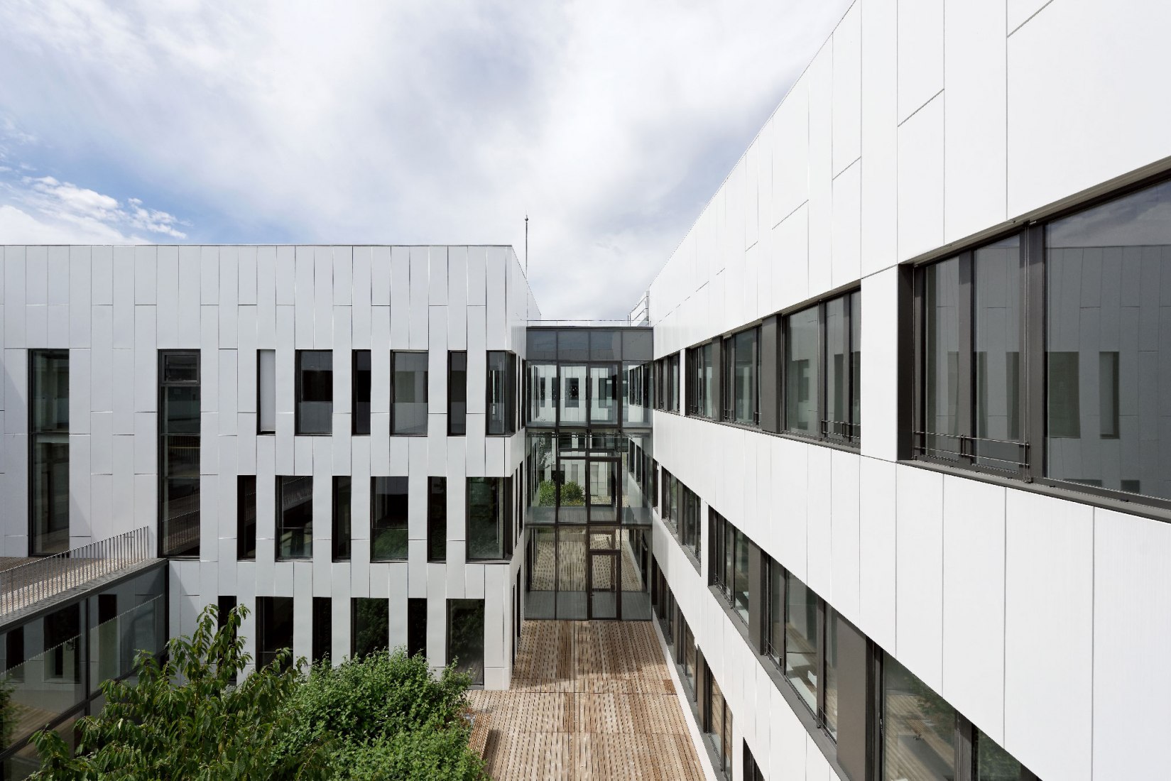 Entre yardas. Instituto de Neurociencia por Dietmar Feichtinger Architectes