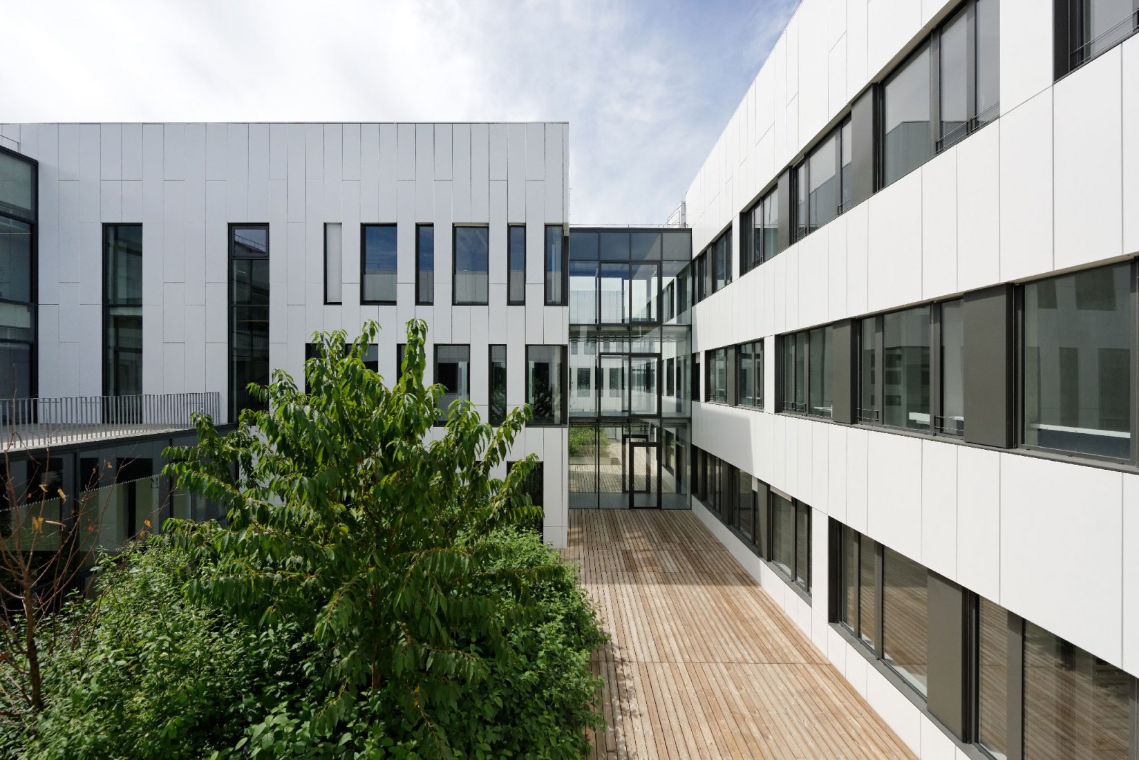Entre yardas. Instituto de Neurociencia por Dietmar Feichtinger Architectes