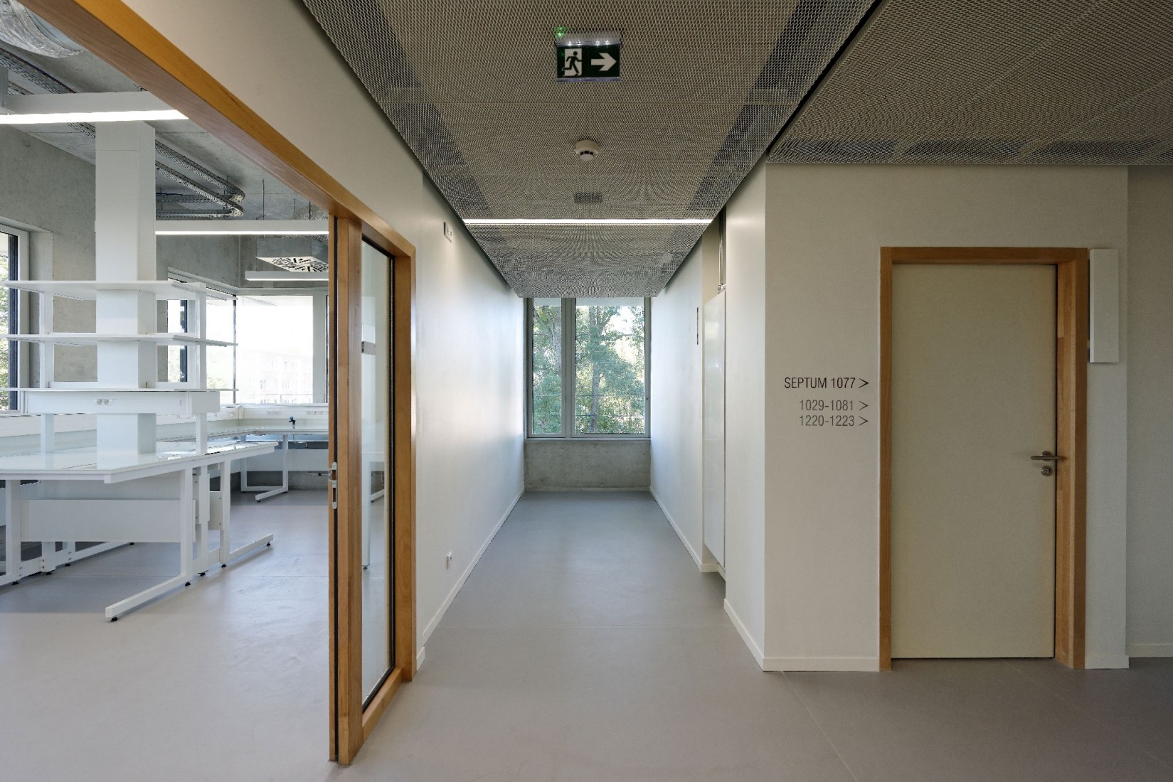 Corredor. Instituto de Neurociencia por Dietmar Feichtinger Architectes