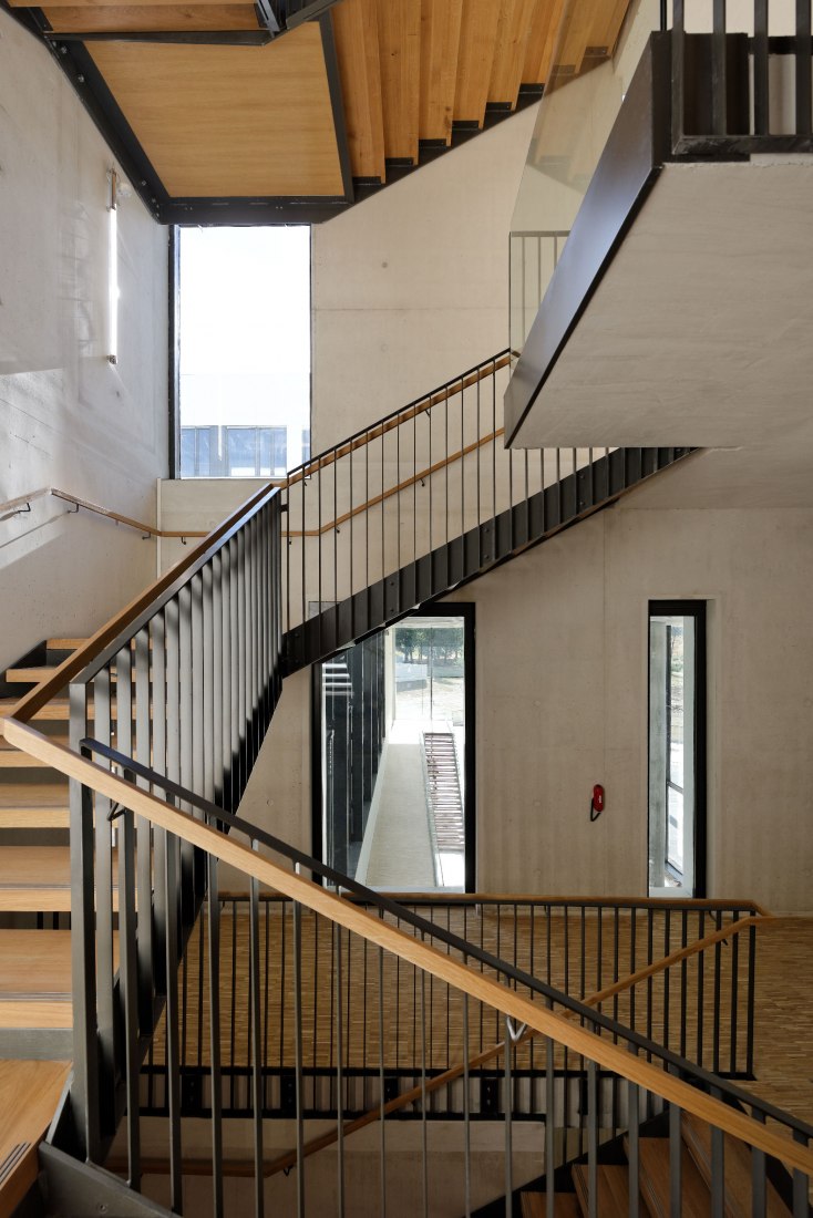 Escalera. Instituto de Neurociencia por Dietmar Feichtinger Architectes
