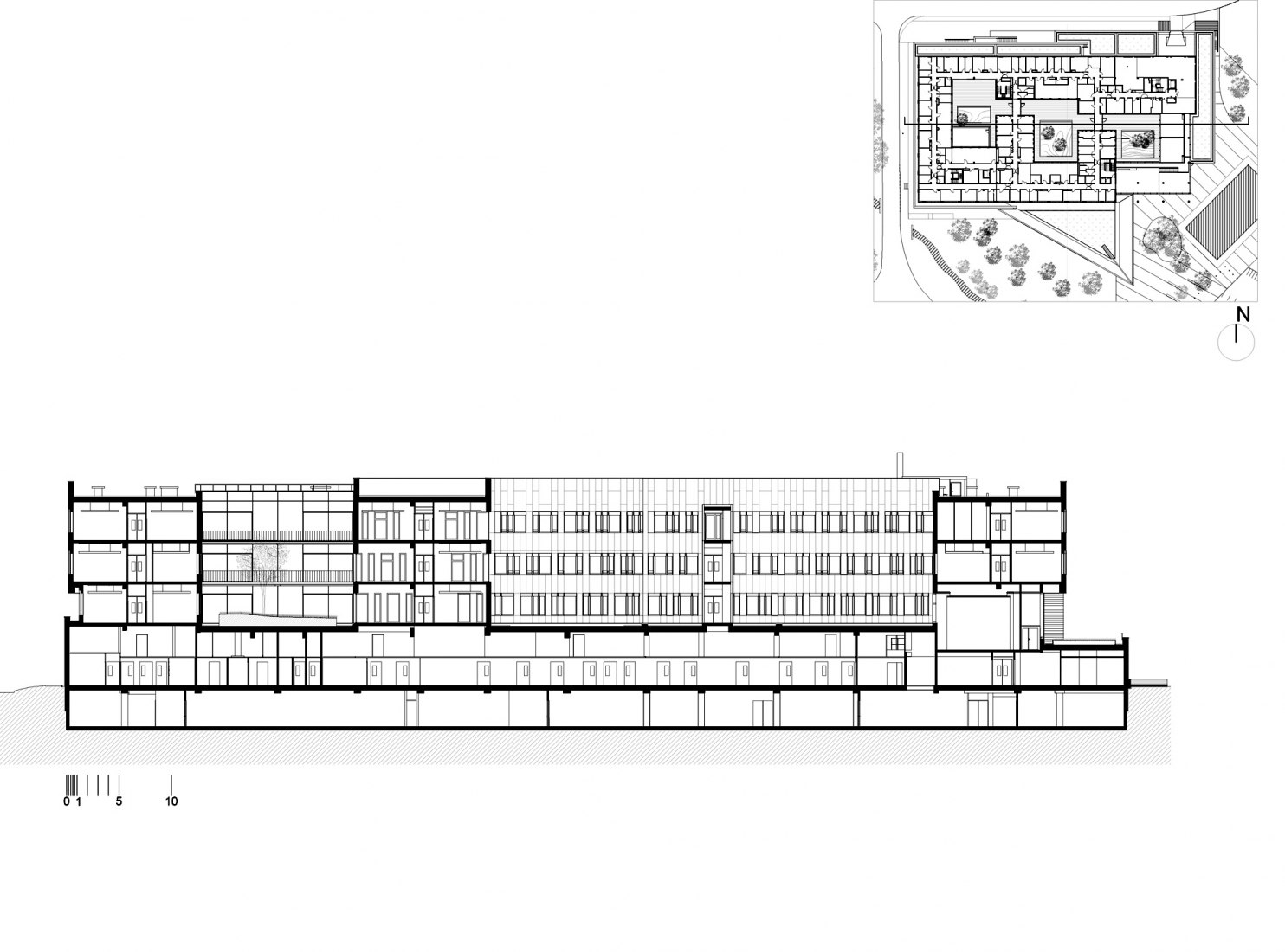 Sección Longitudinal AA. Instituto de Neurociencia por Dietmar Feichtinger Architectes