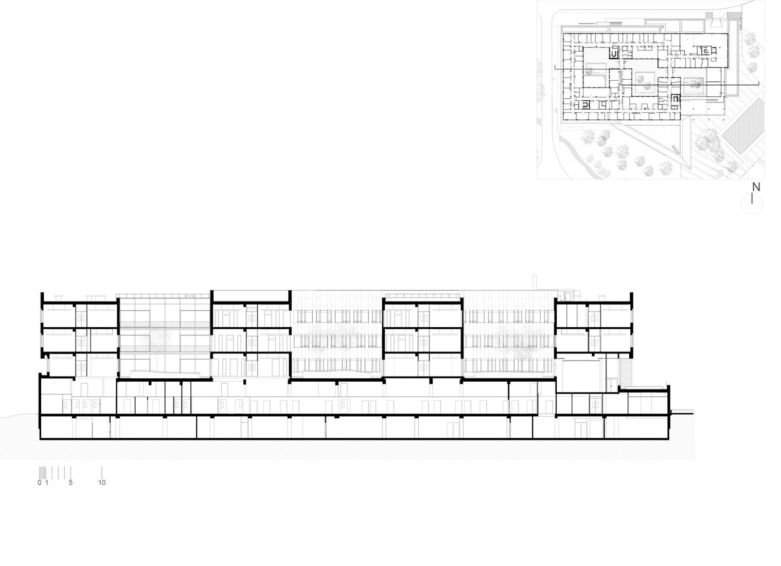 Sección Longitudinal BB. Instituto de Neurociencia por Dietmar Feichtinger Architectes